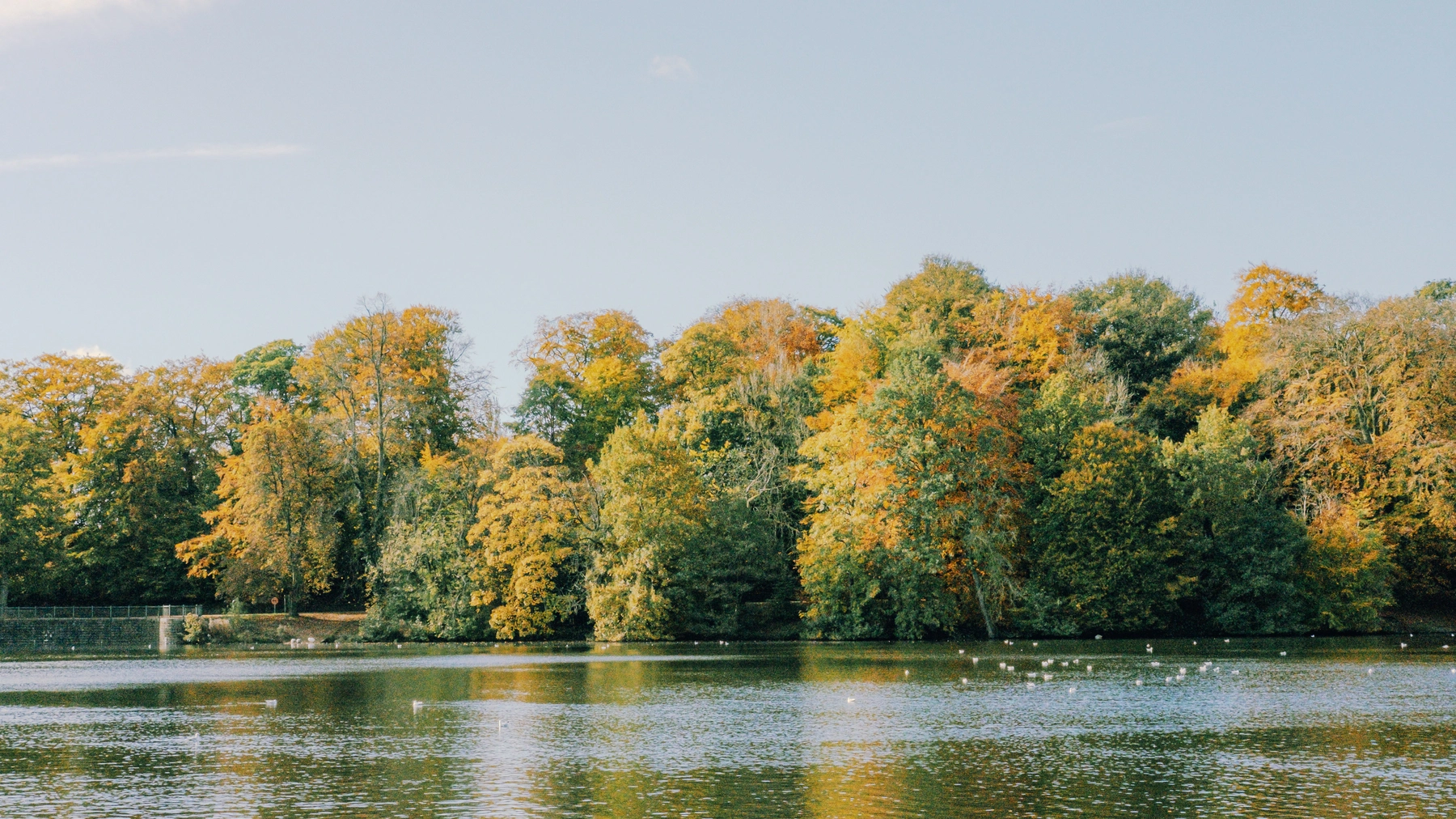Roundhay Park photography