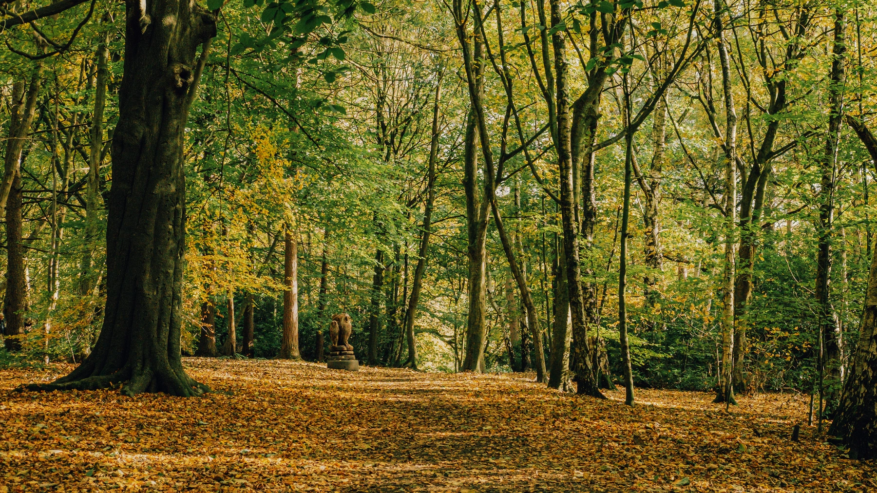 Roundhay Park photography