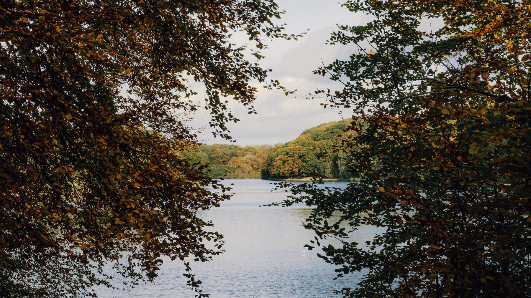 Roundhay Park photography