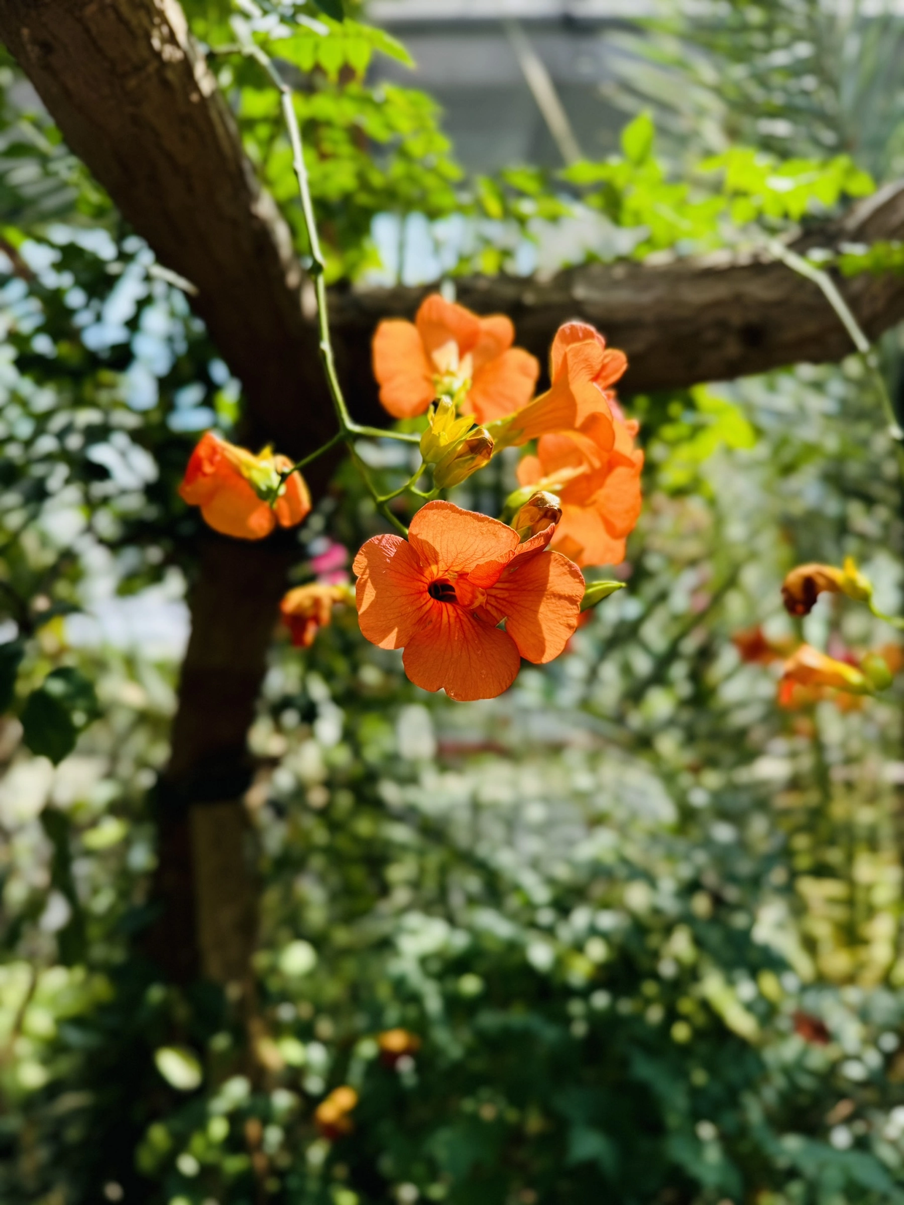 Sheffield photography