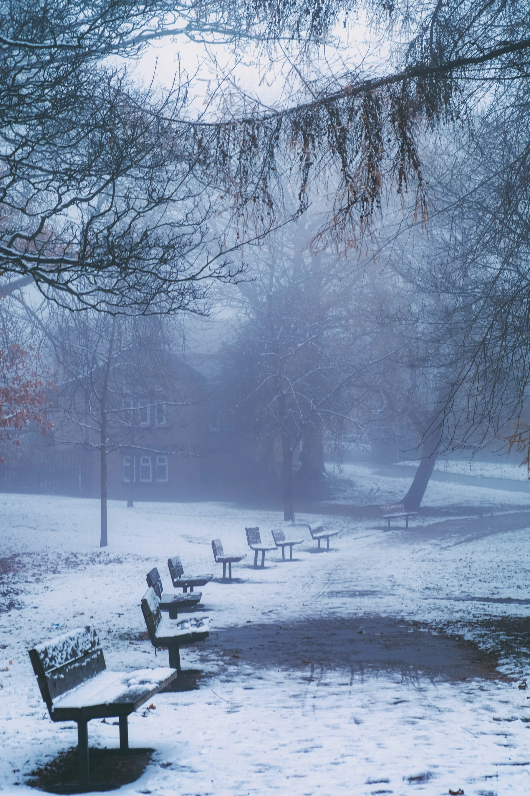 Snow photography