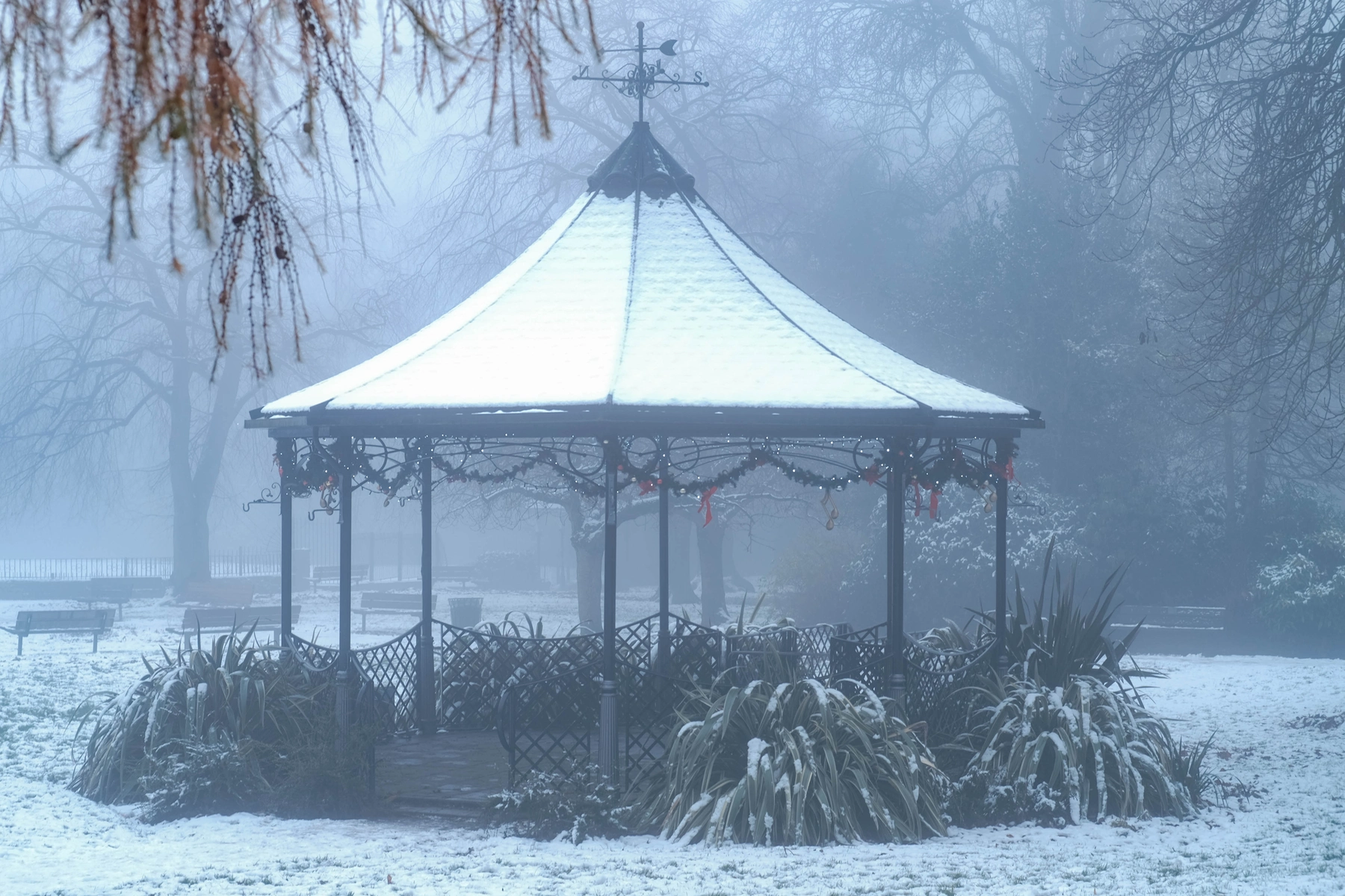 Snow photography