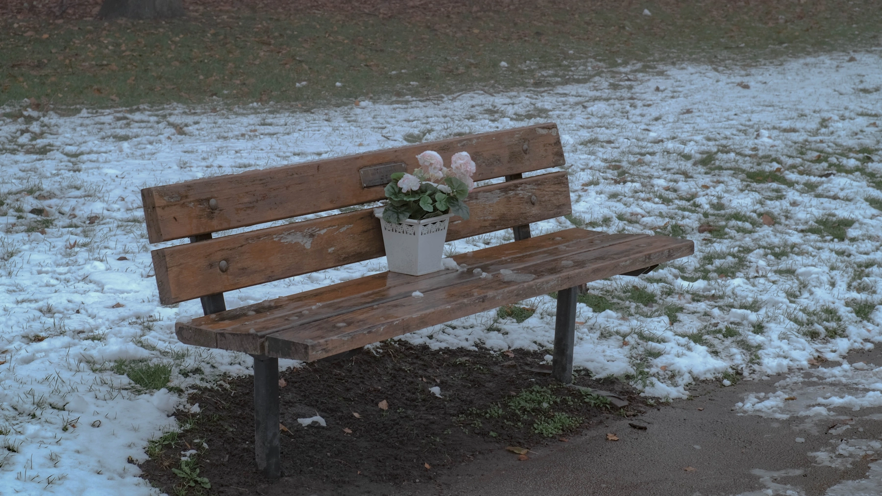 Snow photography