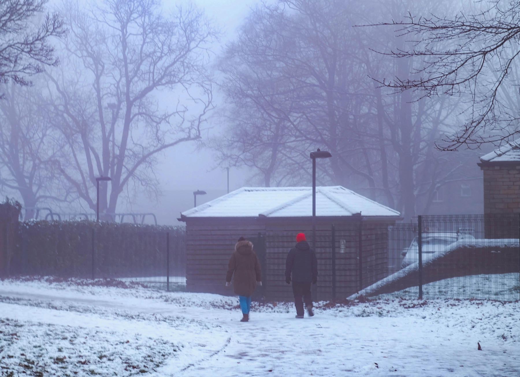 Snow photography