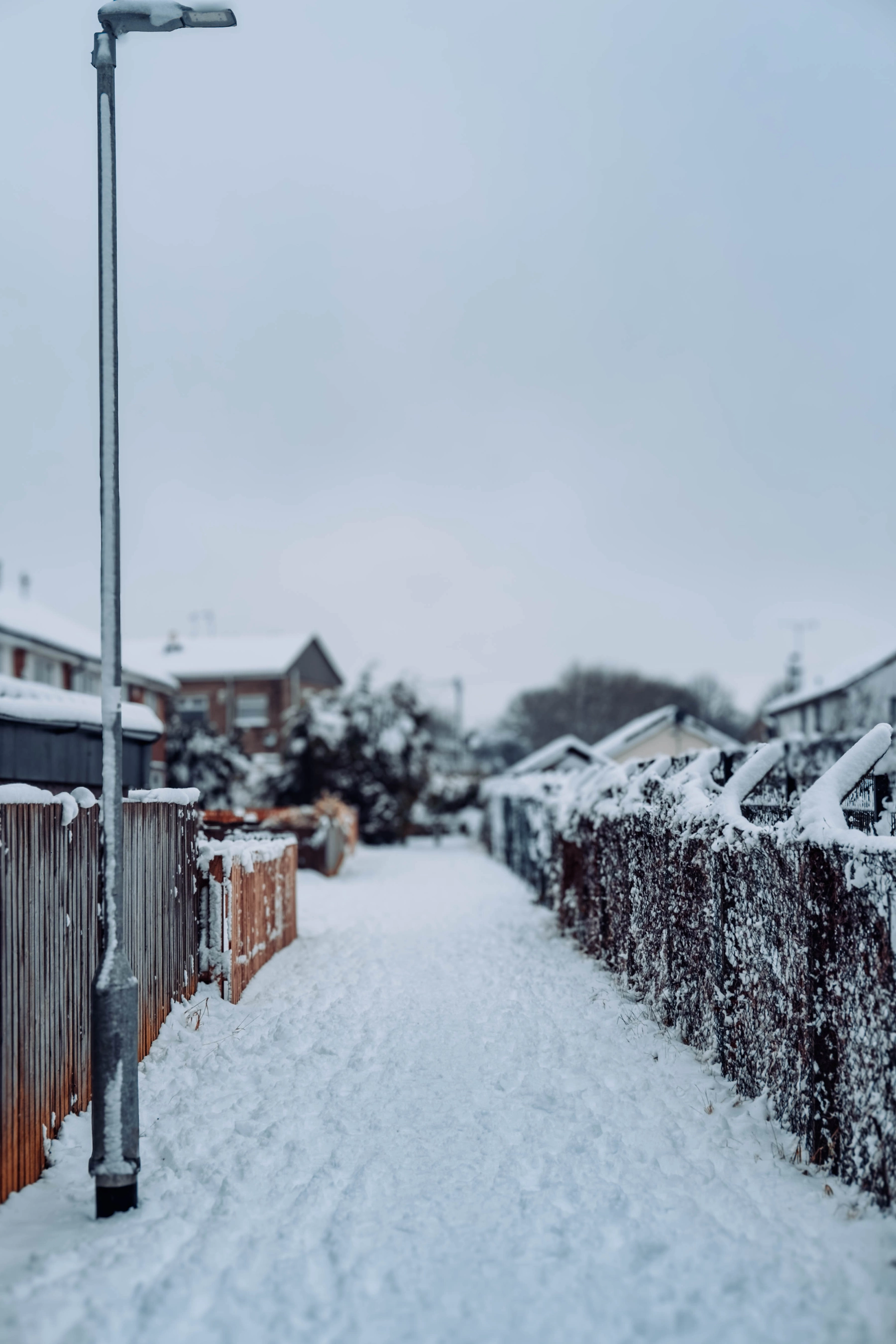 Snow photography