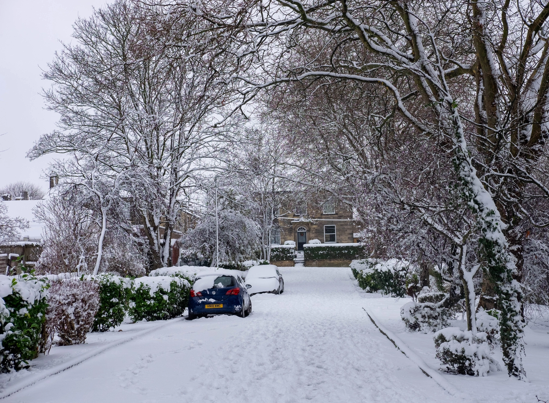 Snow photography