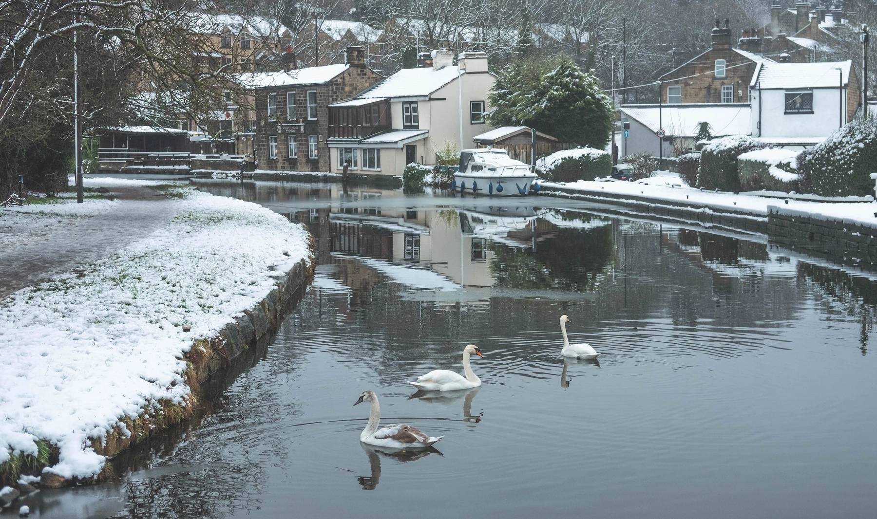 Snow photography