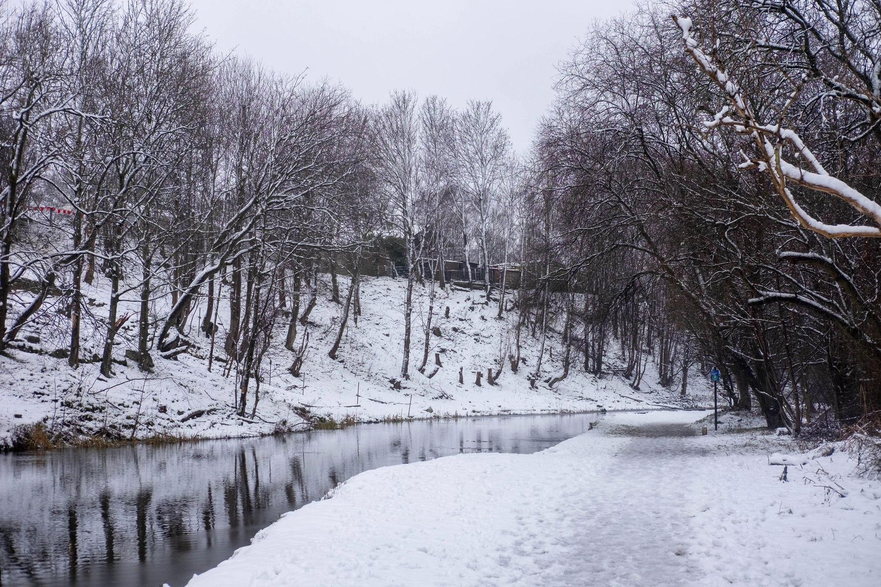 Snow photography