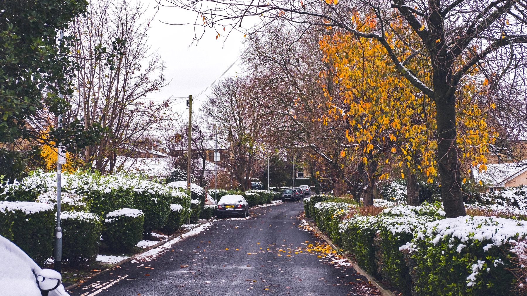 Snow photography