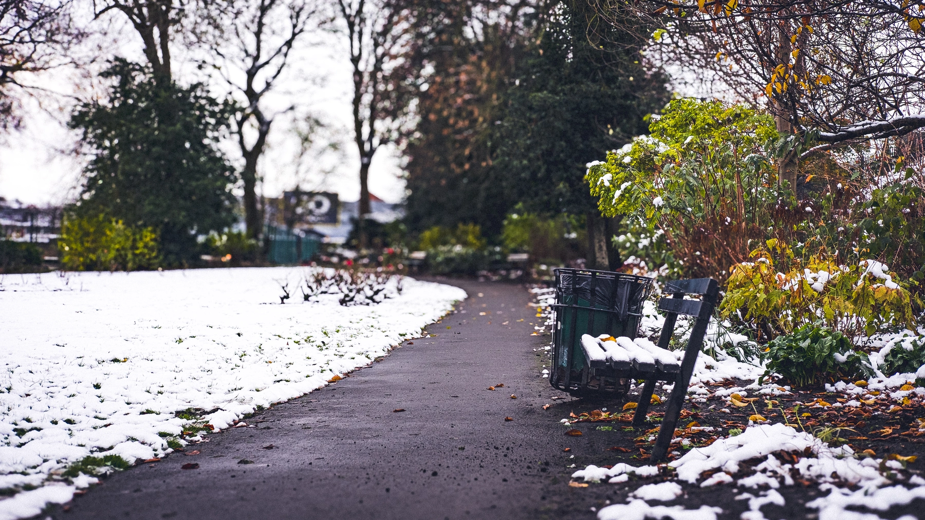 Snow photography