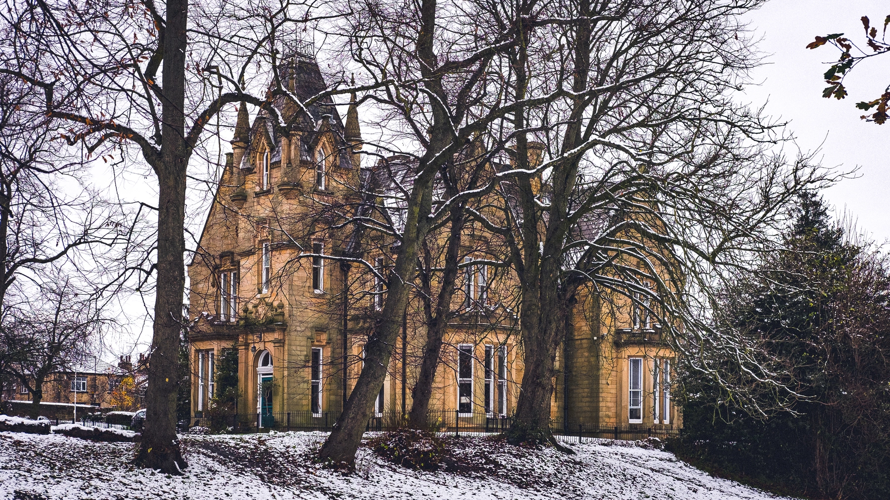 Snow photography