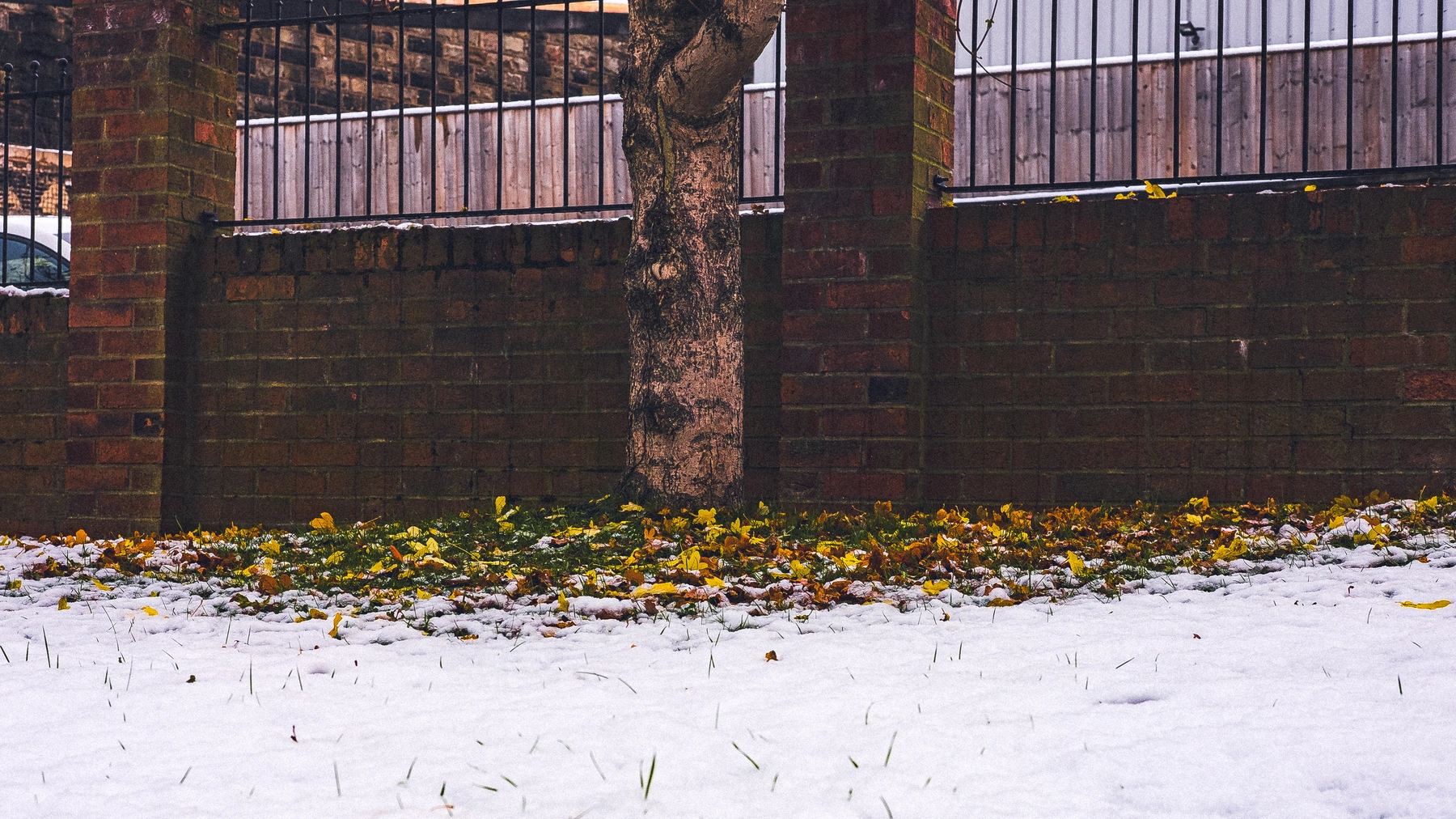 Snow photography