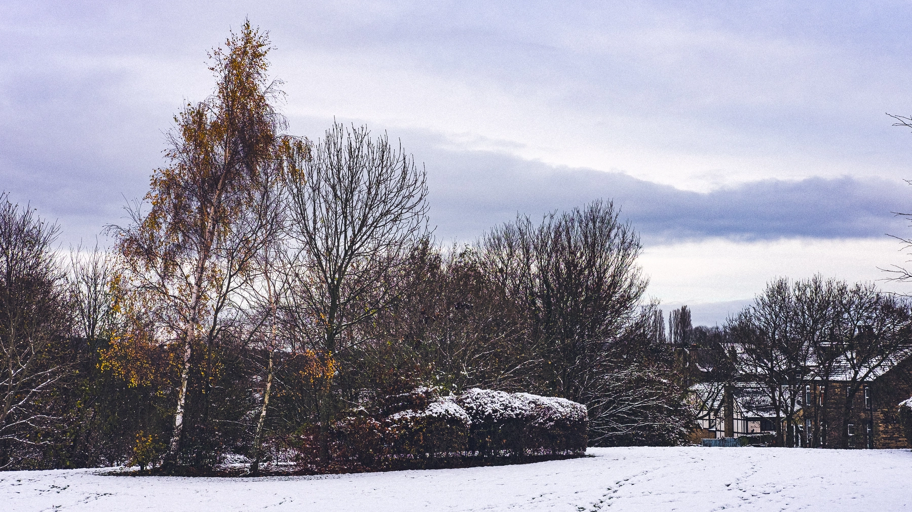 Snow photography
