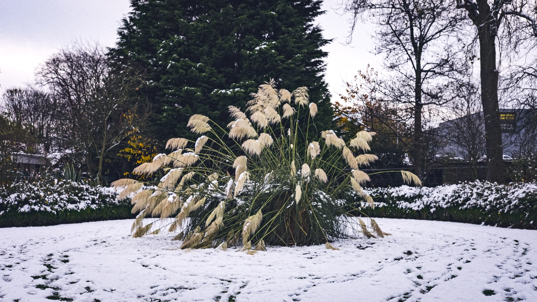 Snow photography