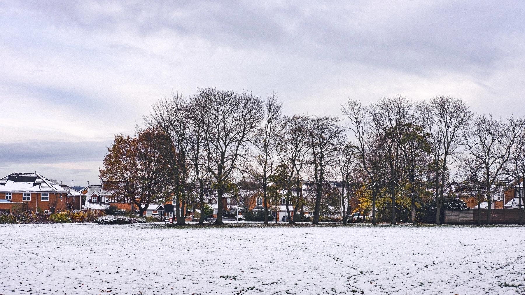 Snow photography