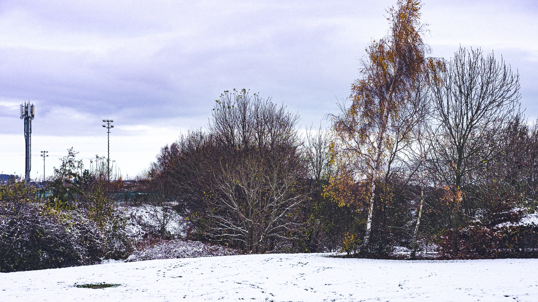 Snow photography