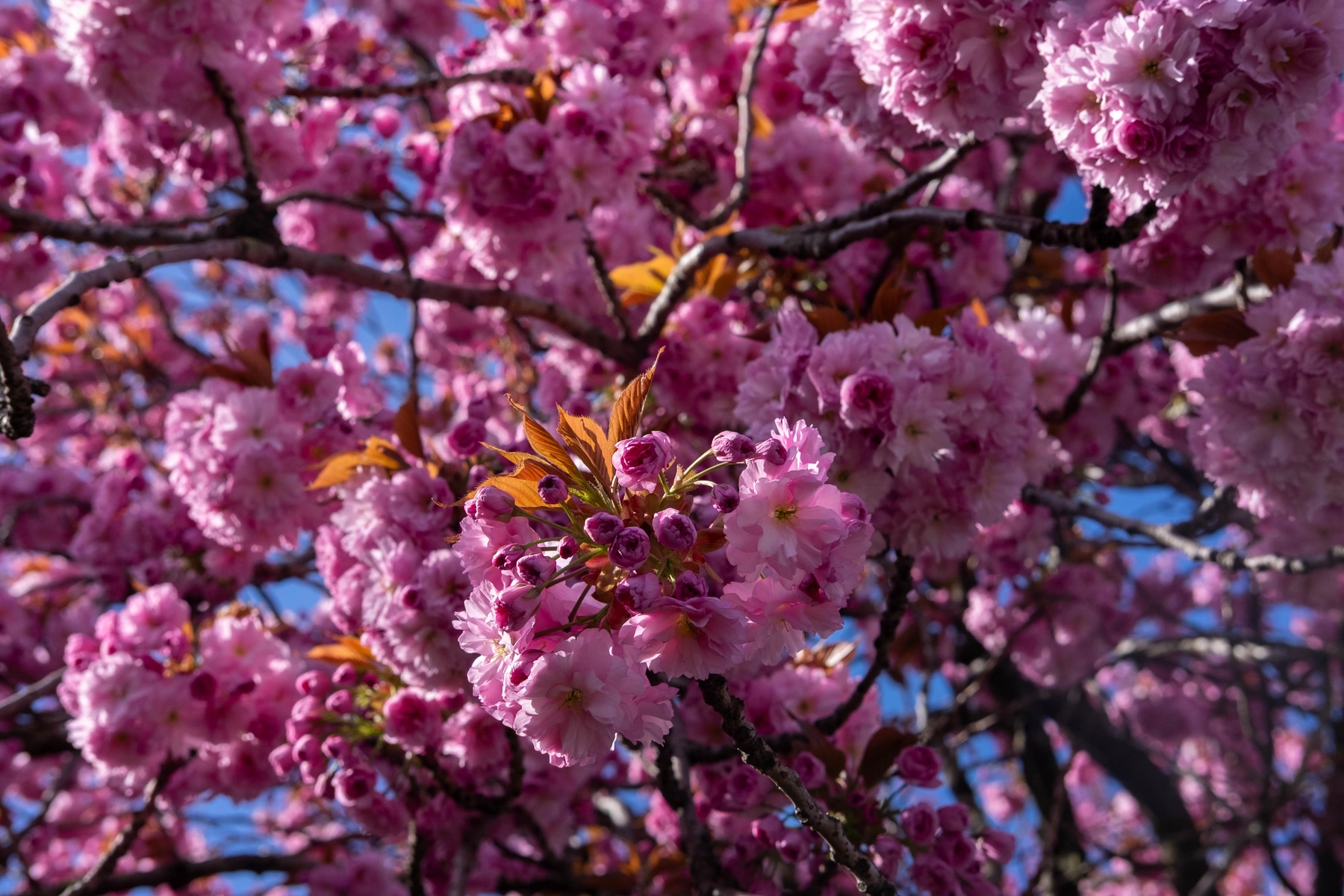 Spring 2025 photography