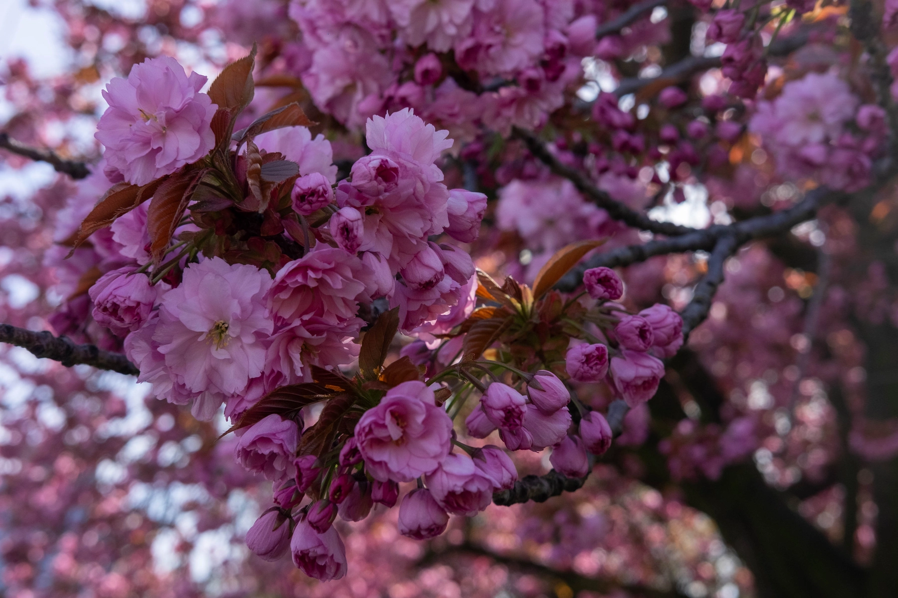 Spring 2025 photography