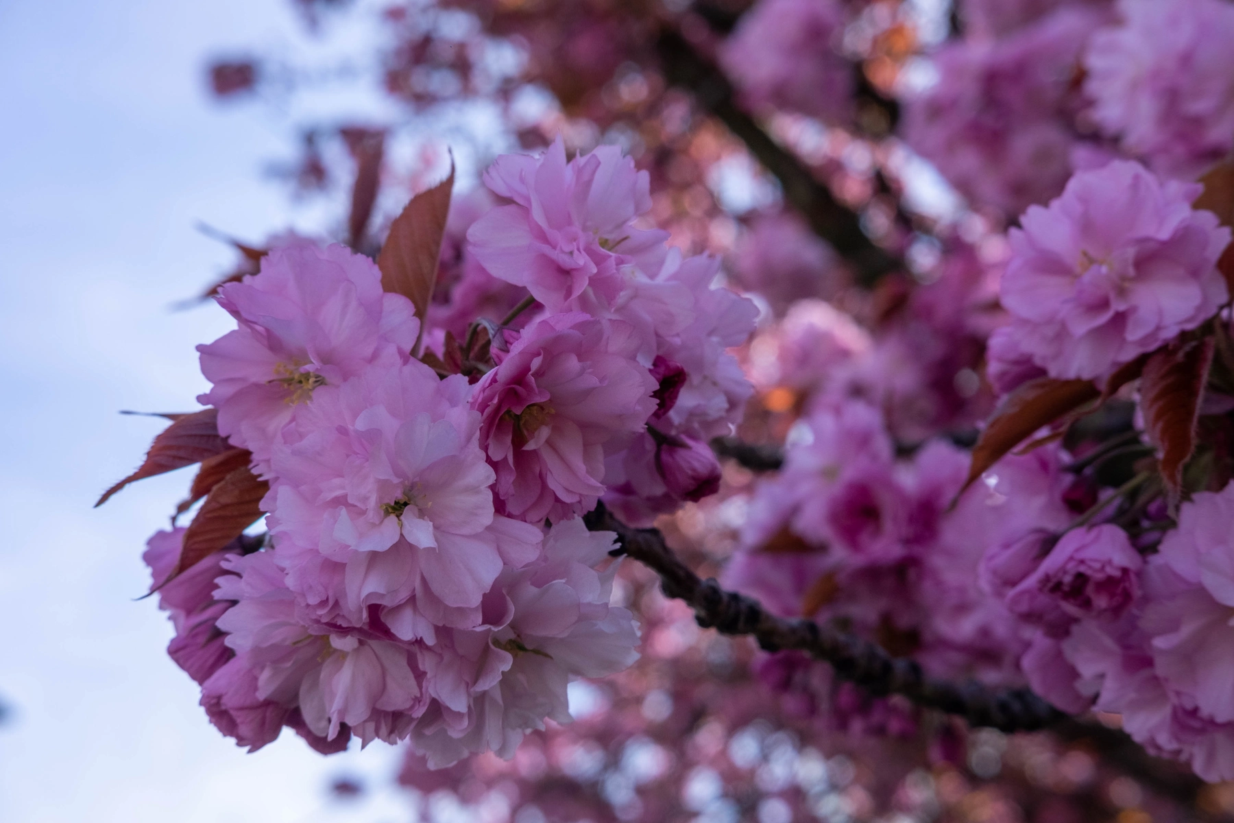 Spring 2025 photography