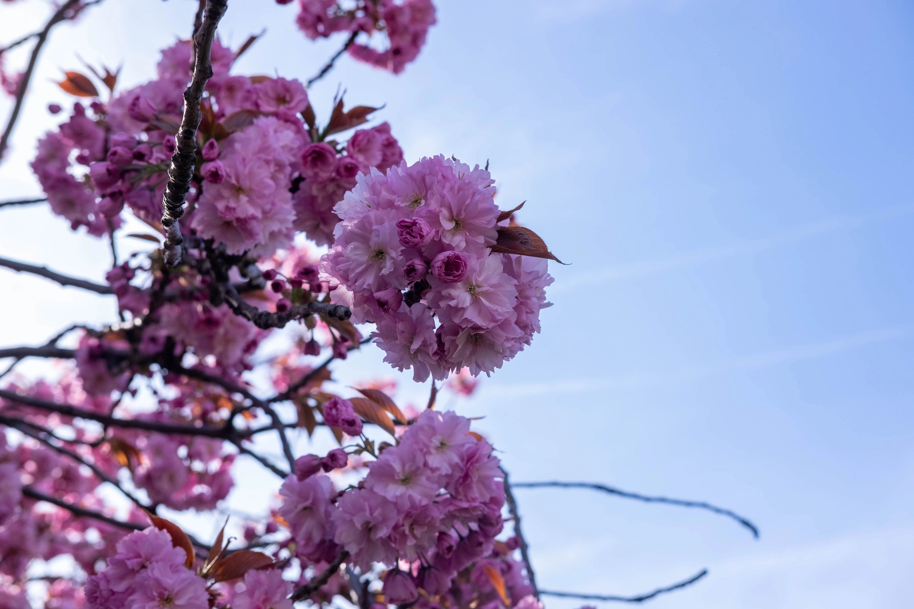 Spring 2025 photography