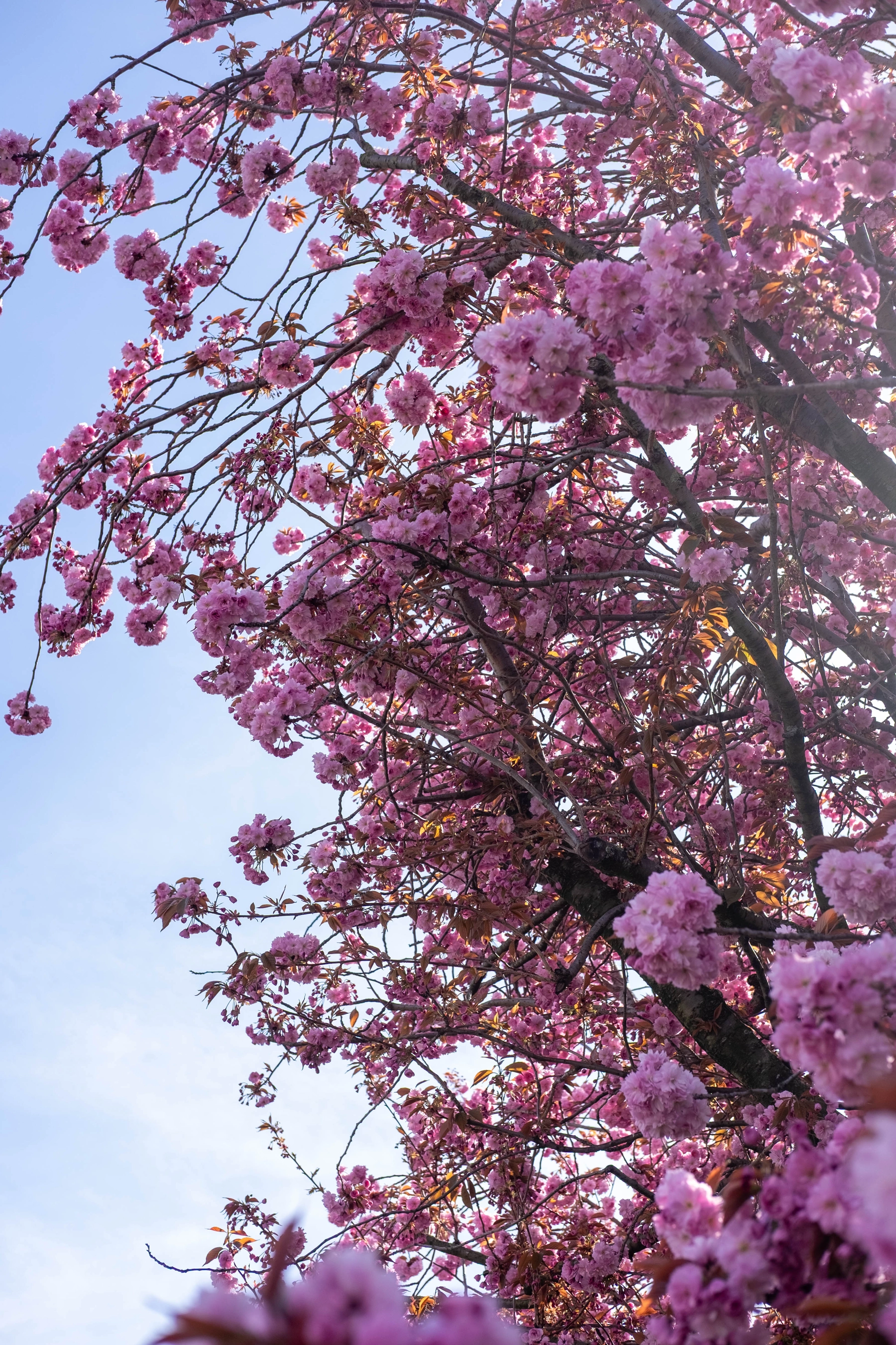 Spring 2025 photography