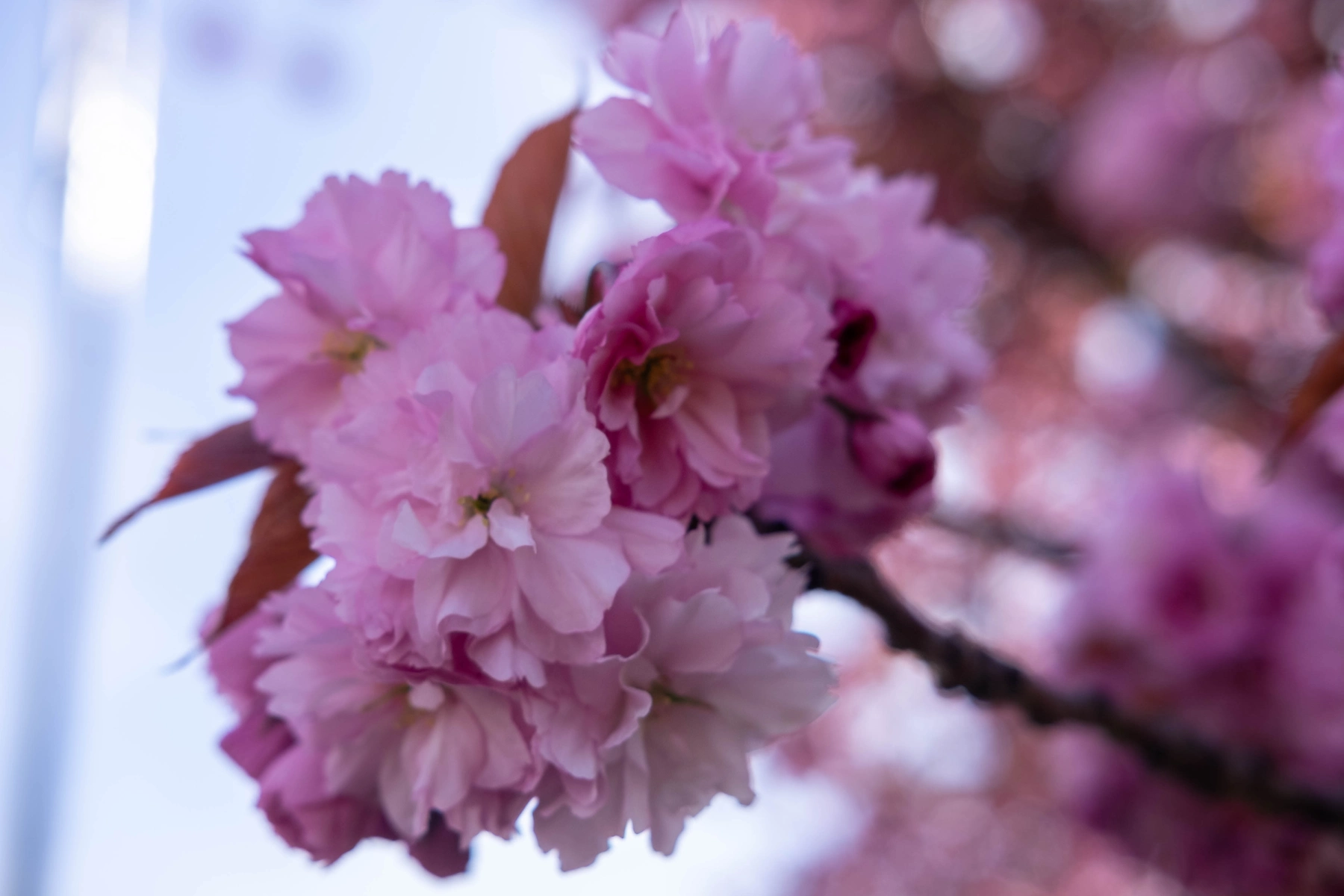Spring 2025 photography