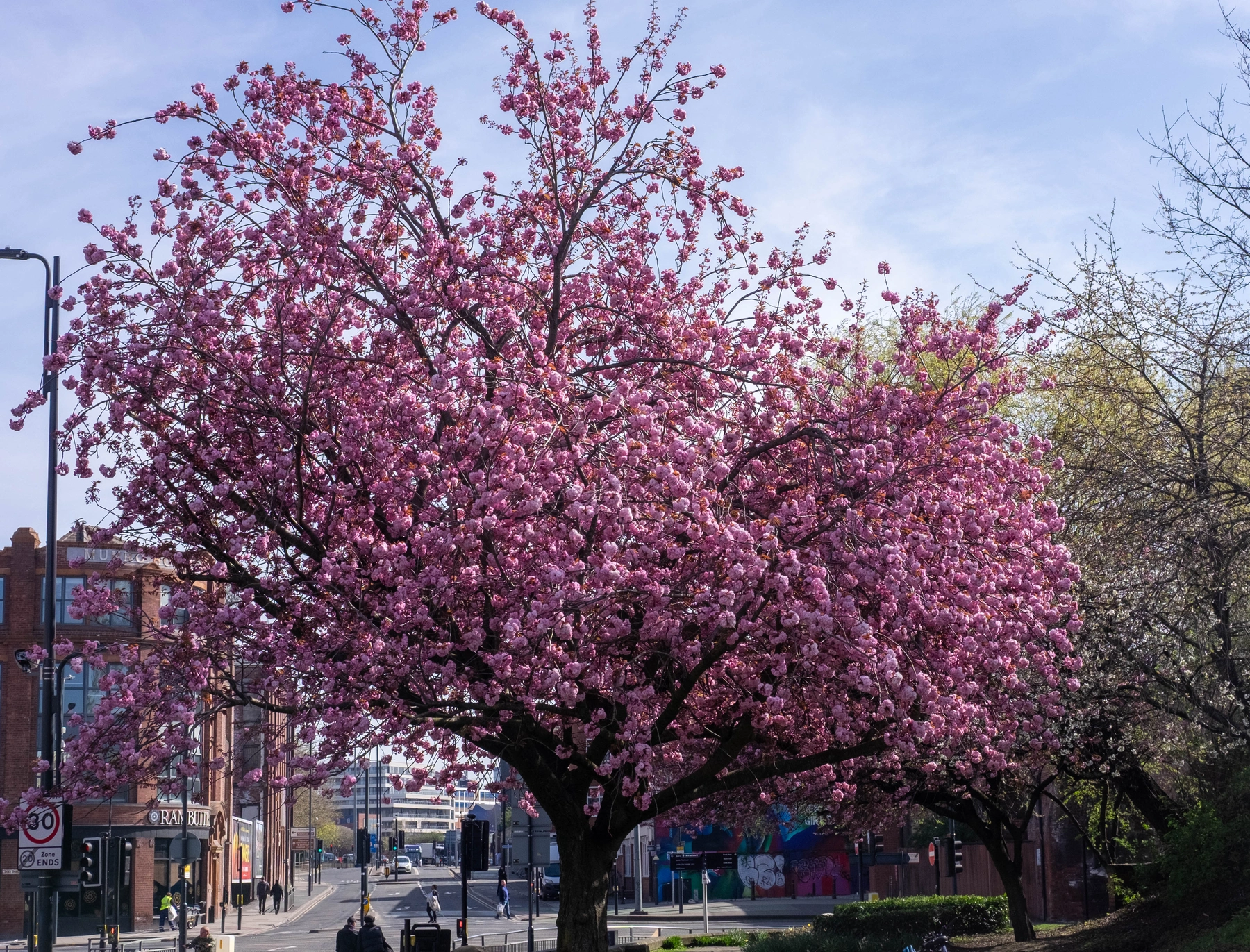 Spring 2025 photography