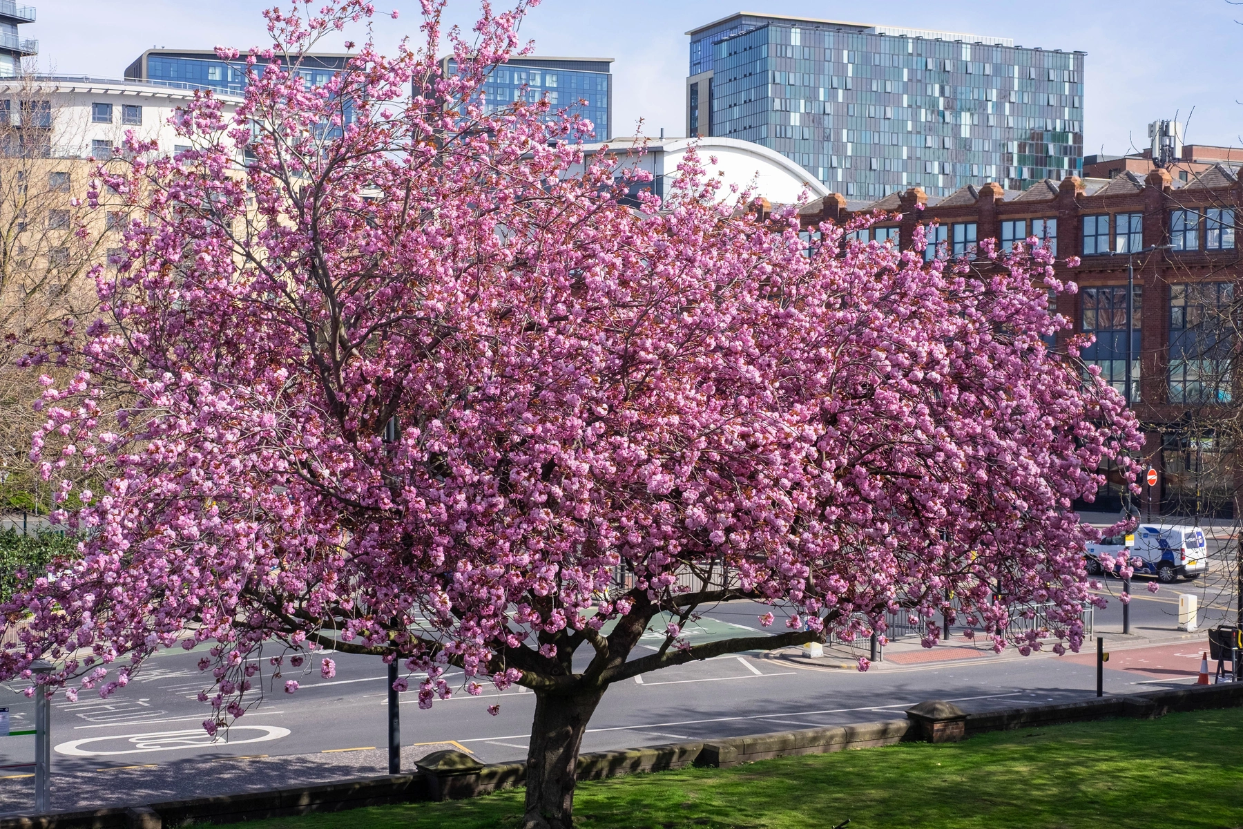 Spring 2025 photography