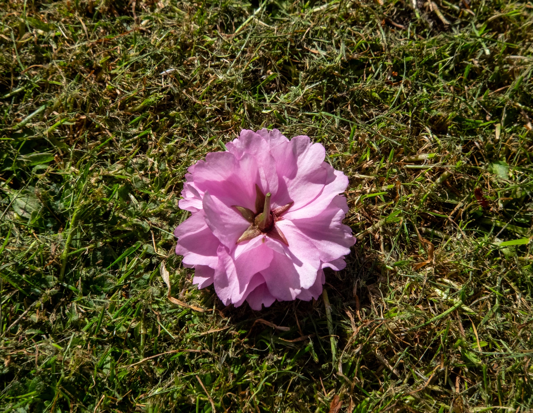 Spring 2025 photography