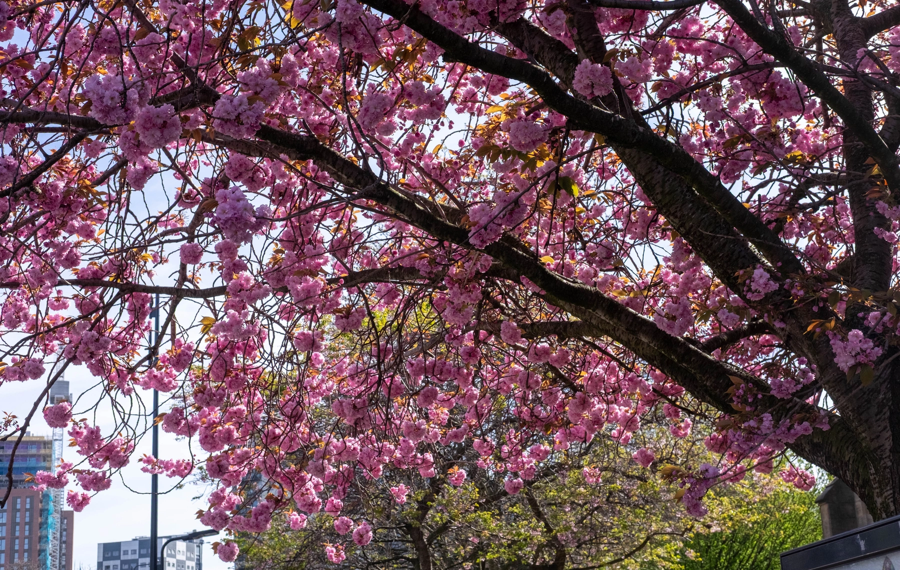 Spring 2025 photography