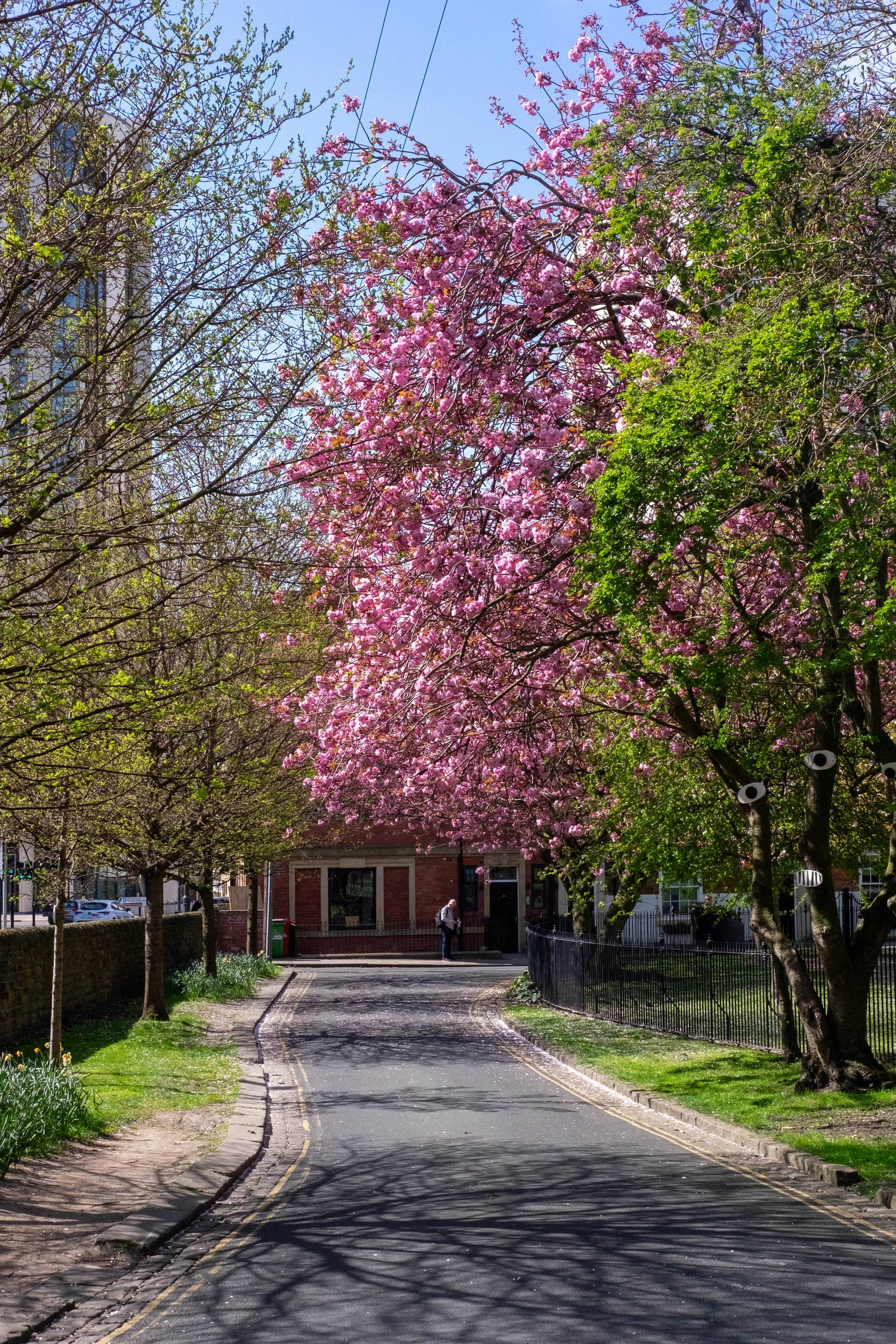 Spring 2025 photography