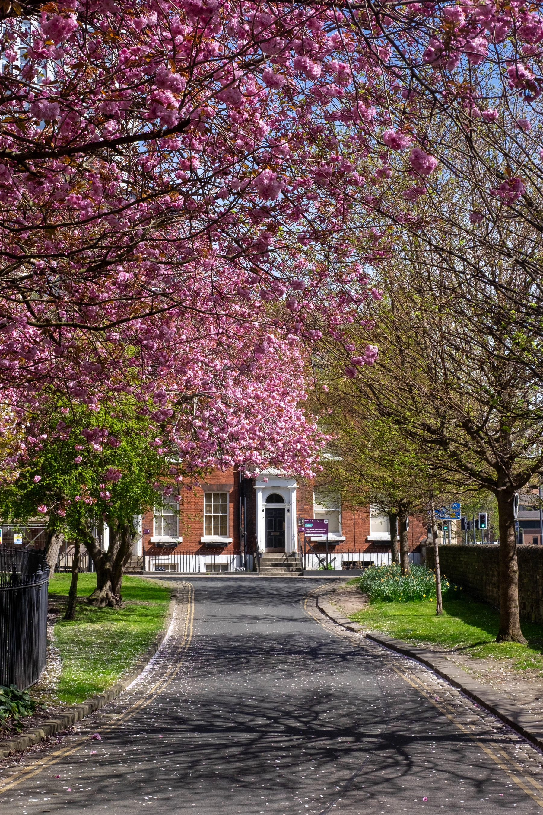 Spring 2025 photography