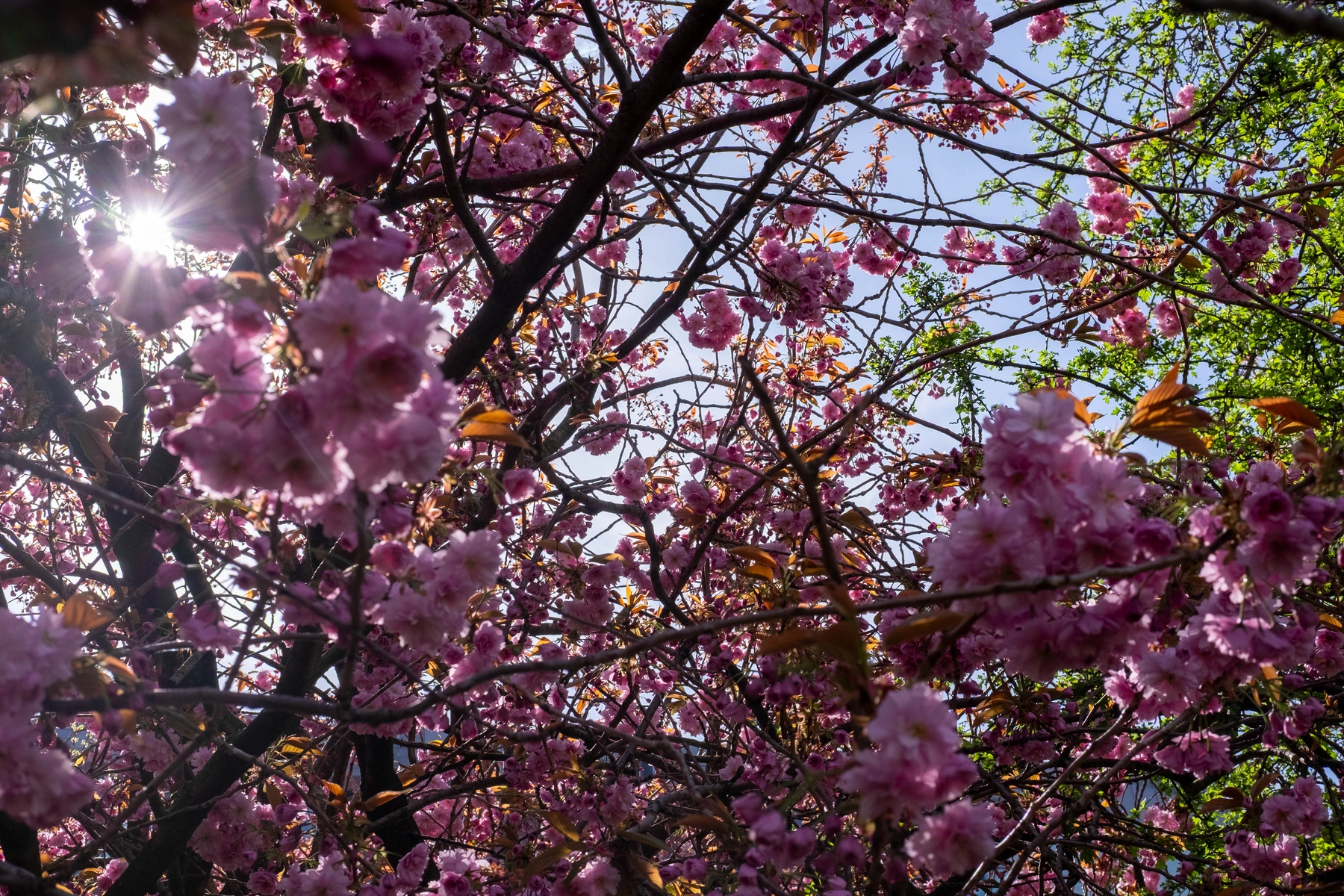 Spring 2025 photography