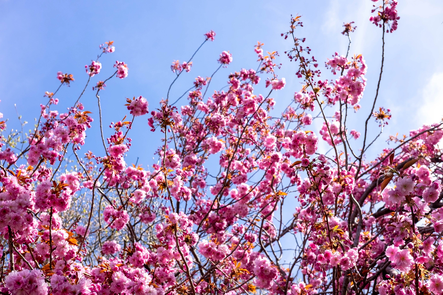 Spring 2025 photography