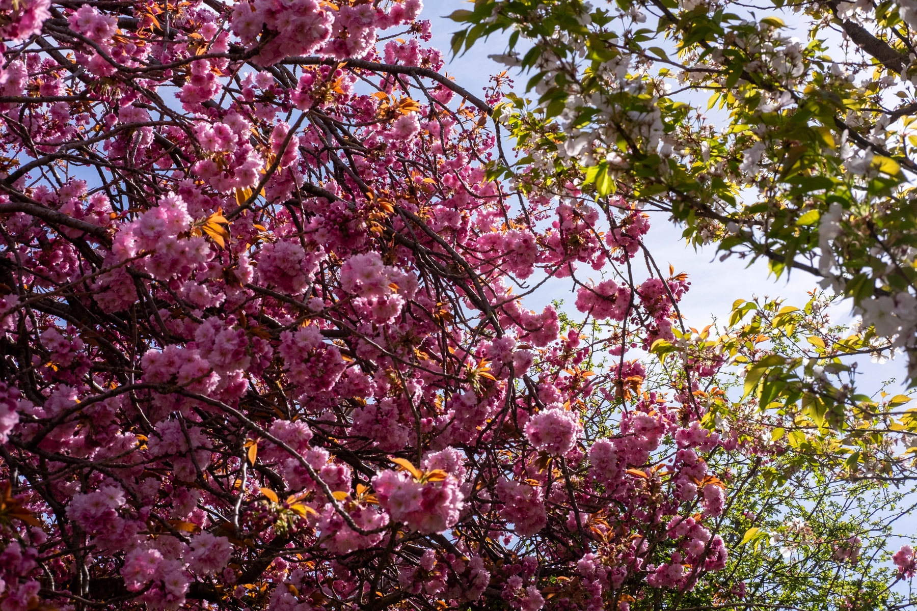 Spring 2025 photography