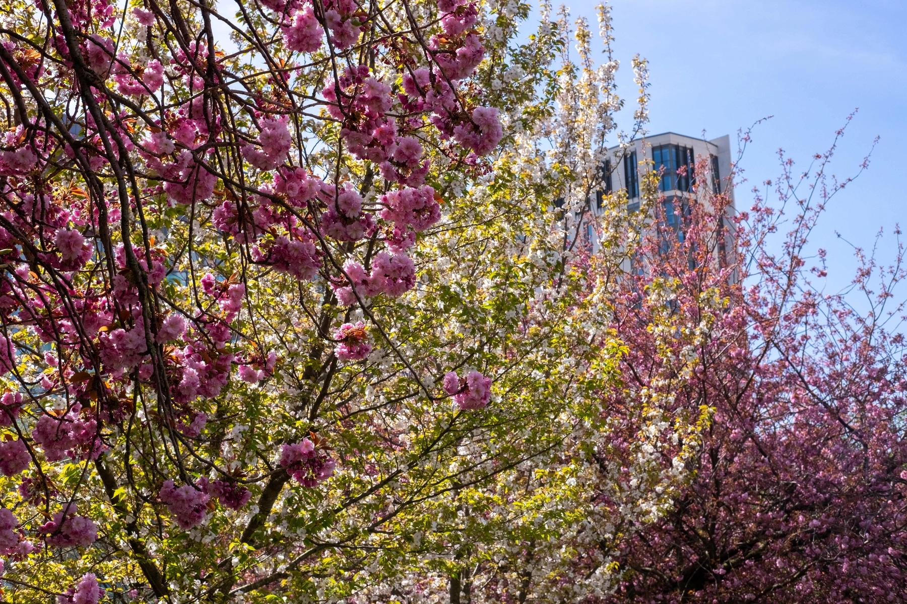 Spring 2025 photography