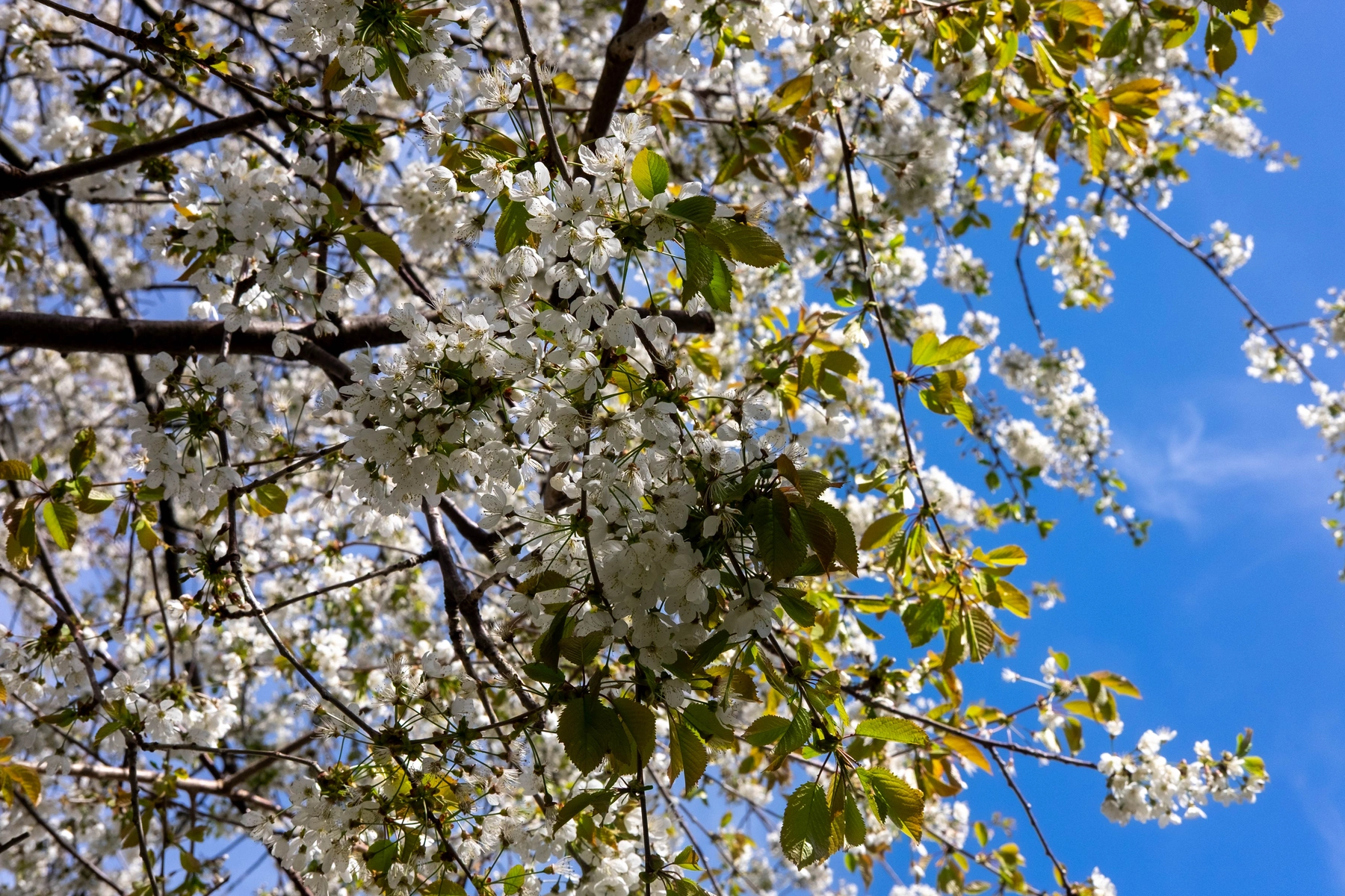 Spring 2025 photography