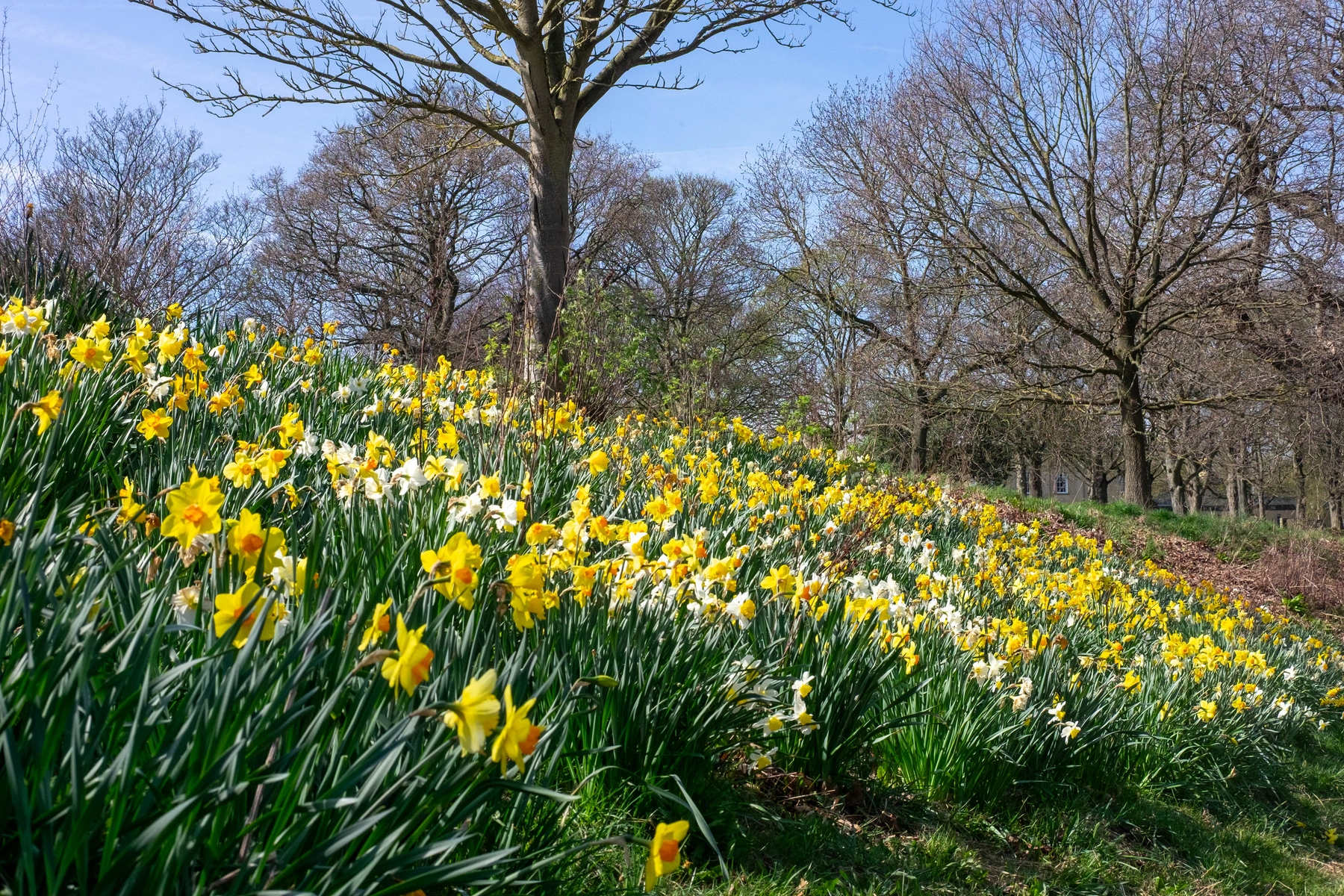 Spring 2025 photography