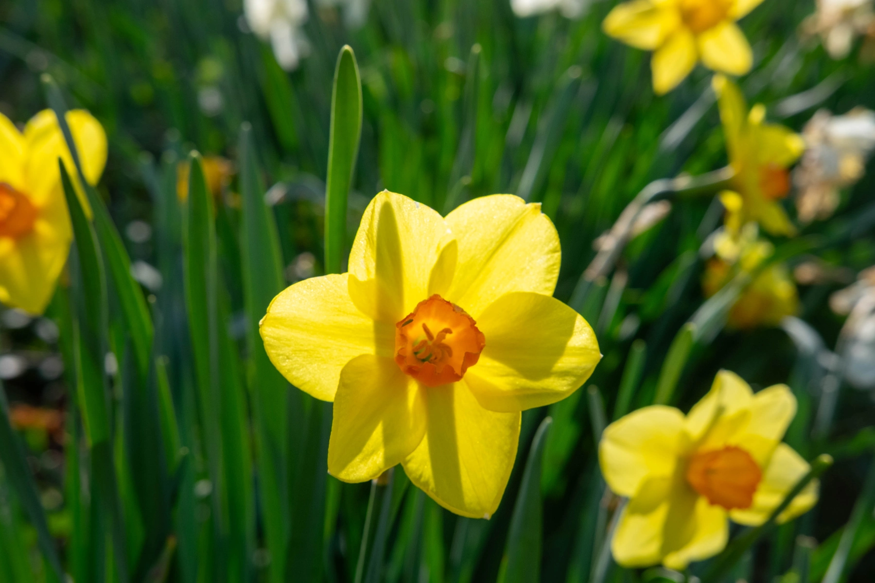 Spring 2025 photography