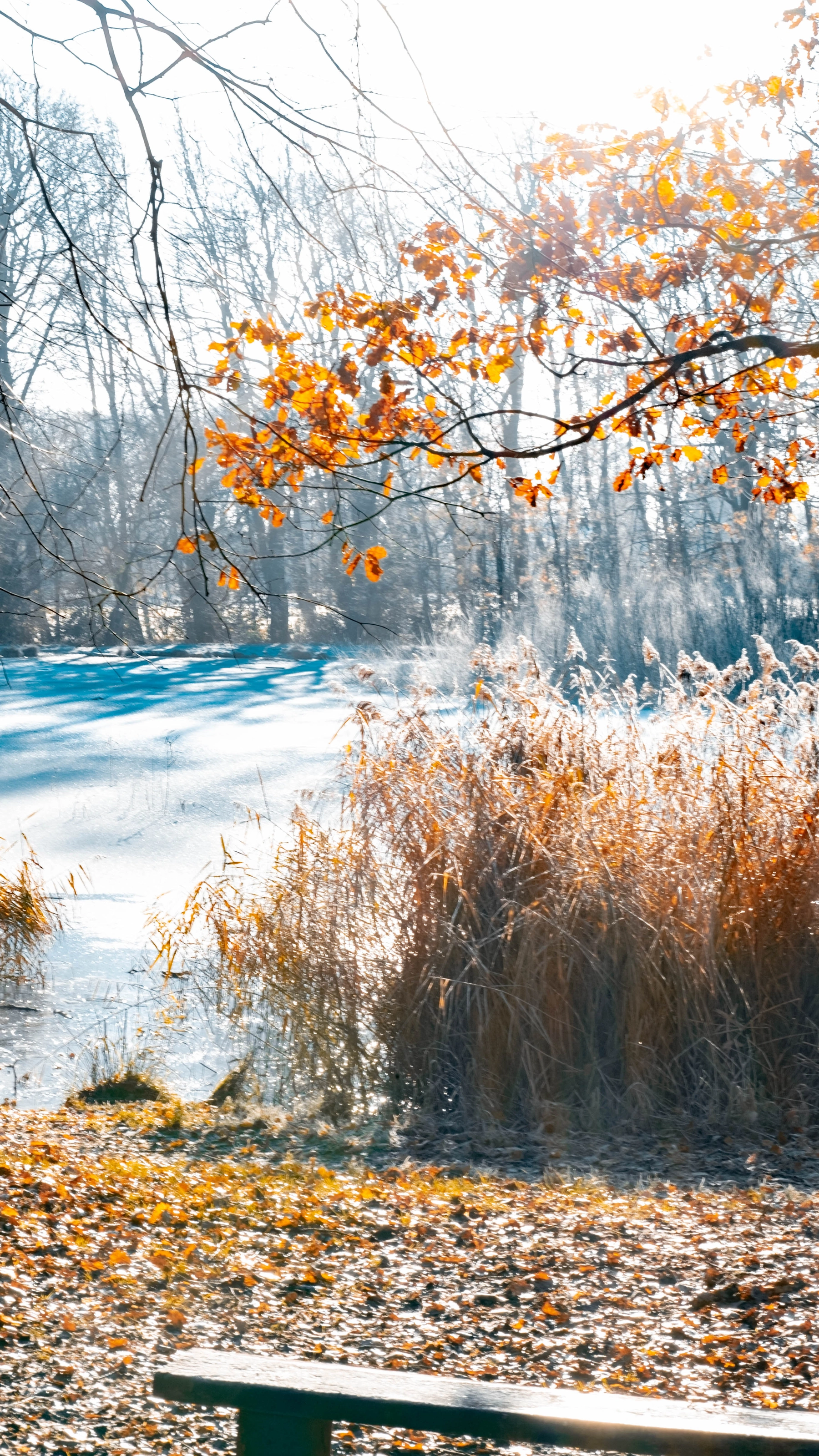 Woodhall Lake photography