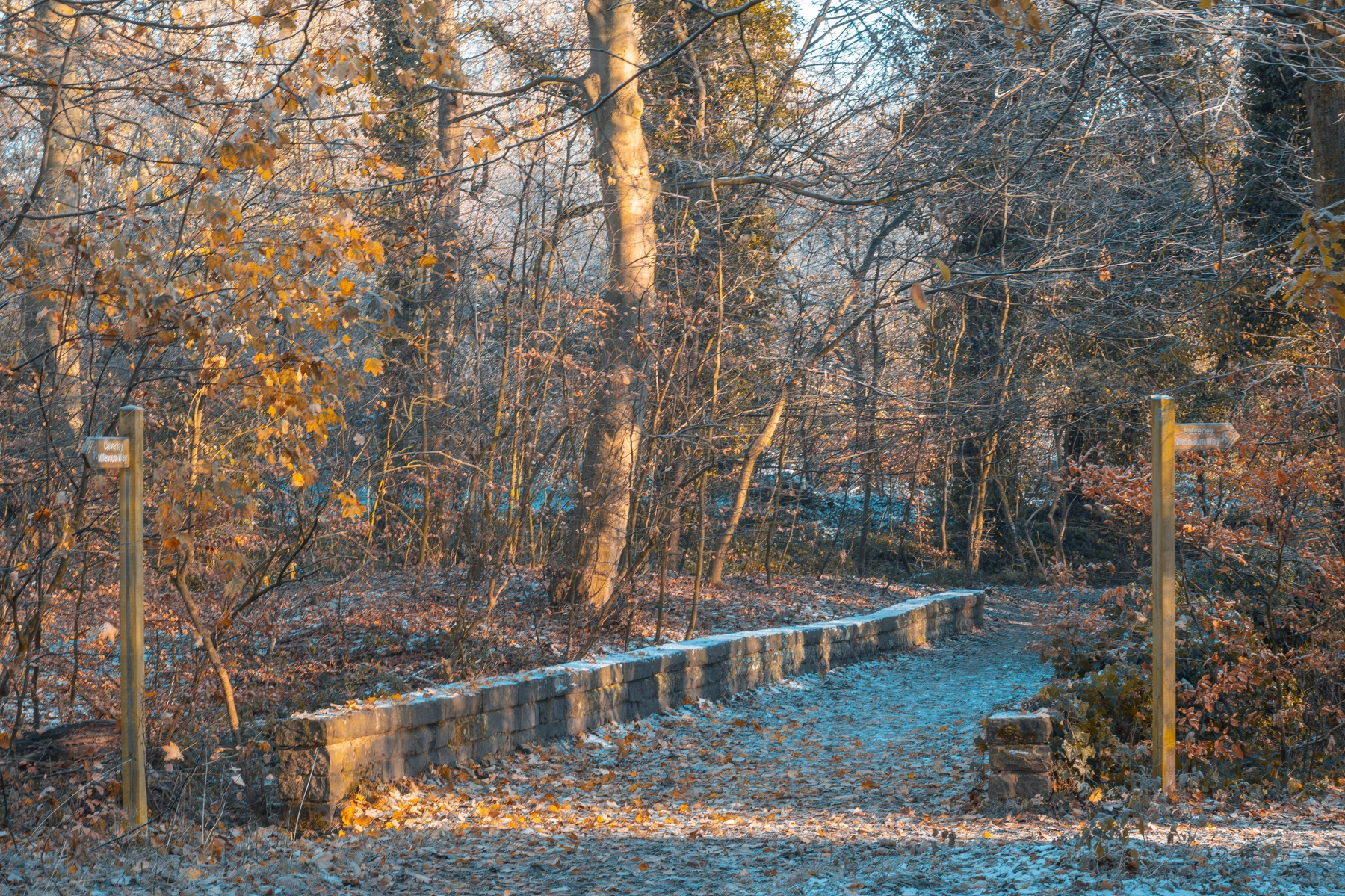 Woodhall Lake photography