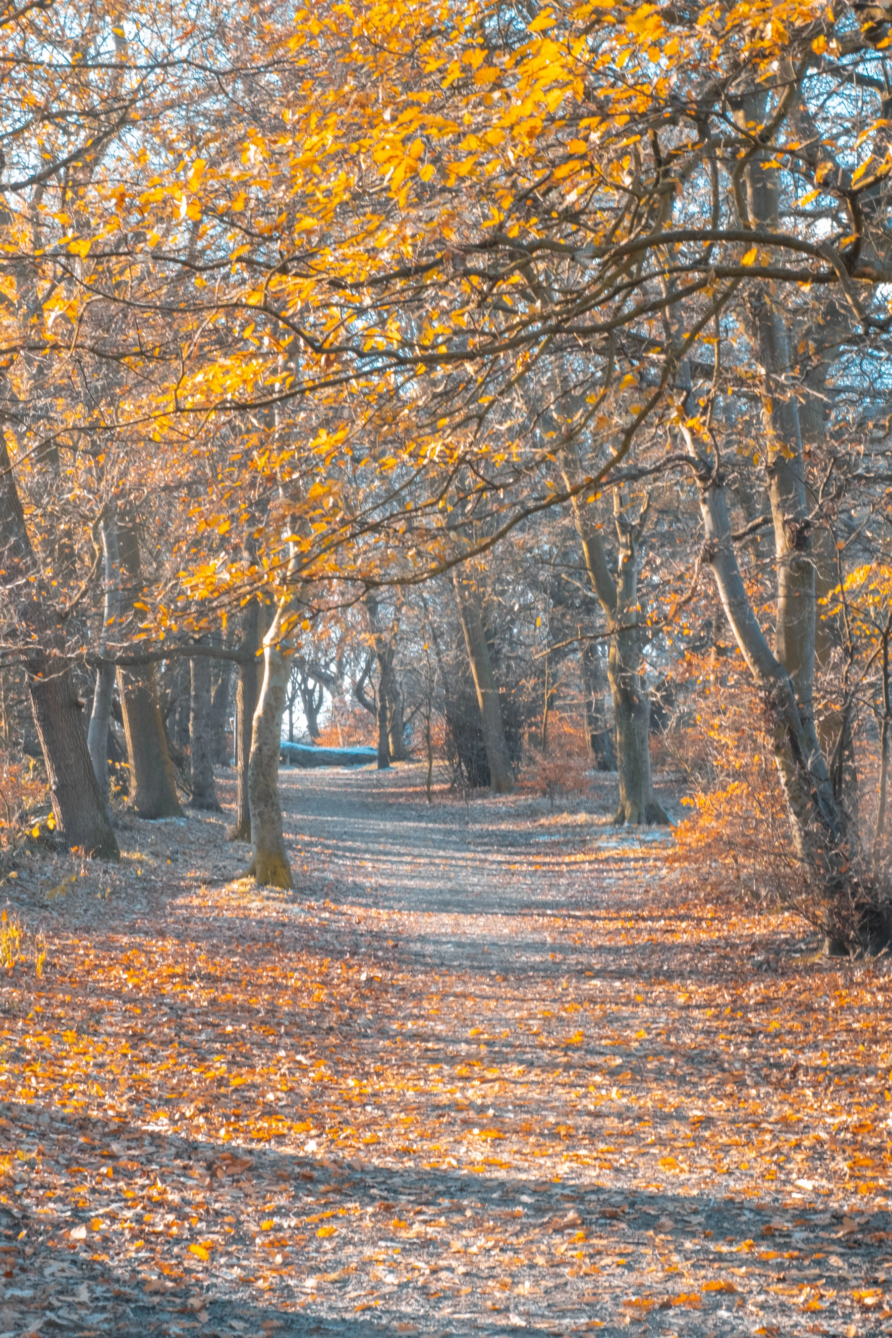 Woodhall Lake photography