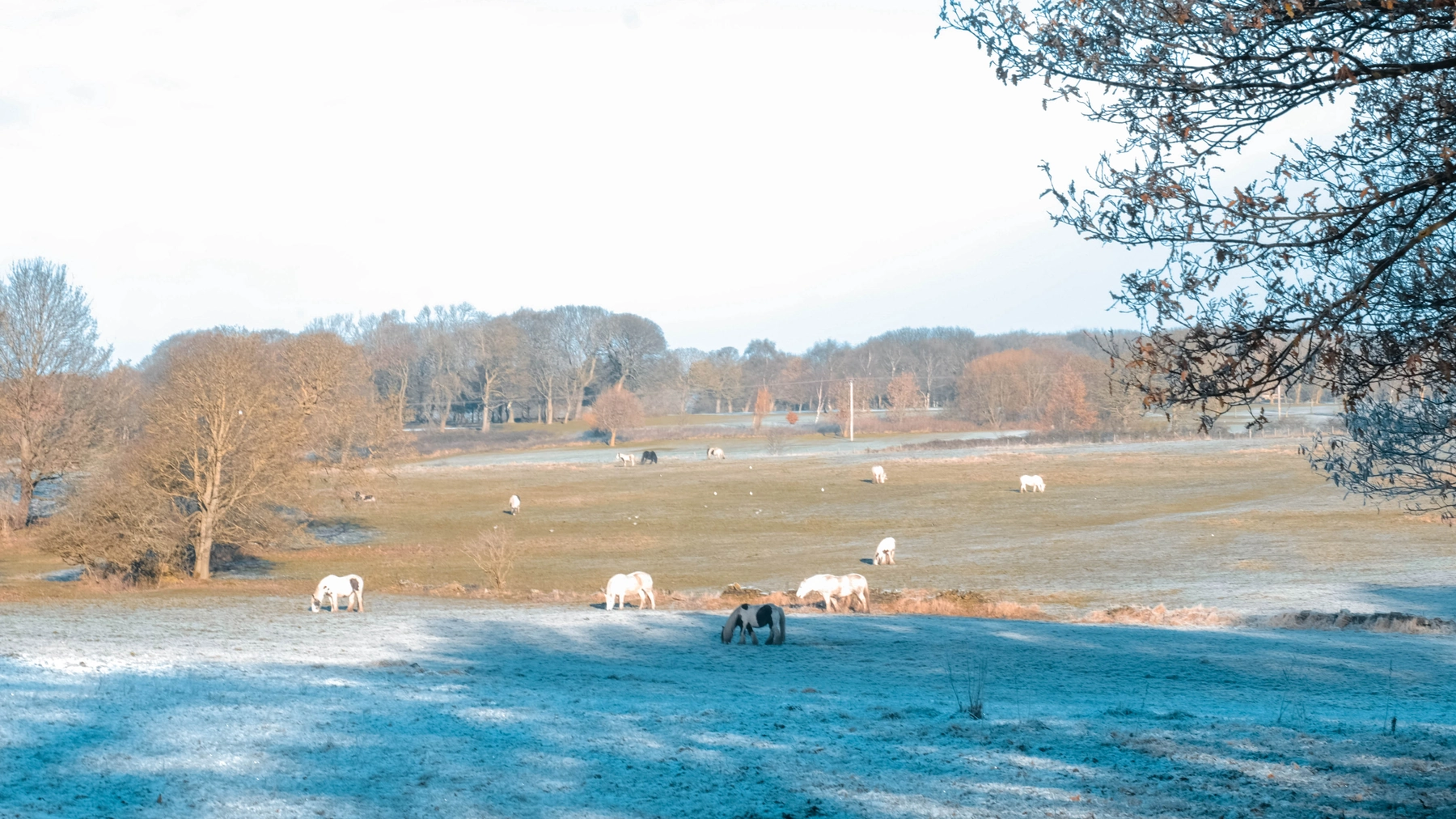 Woodhall Lake photography