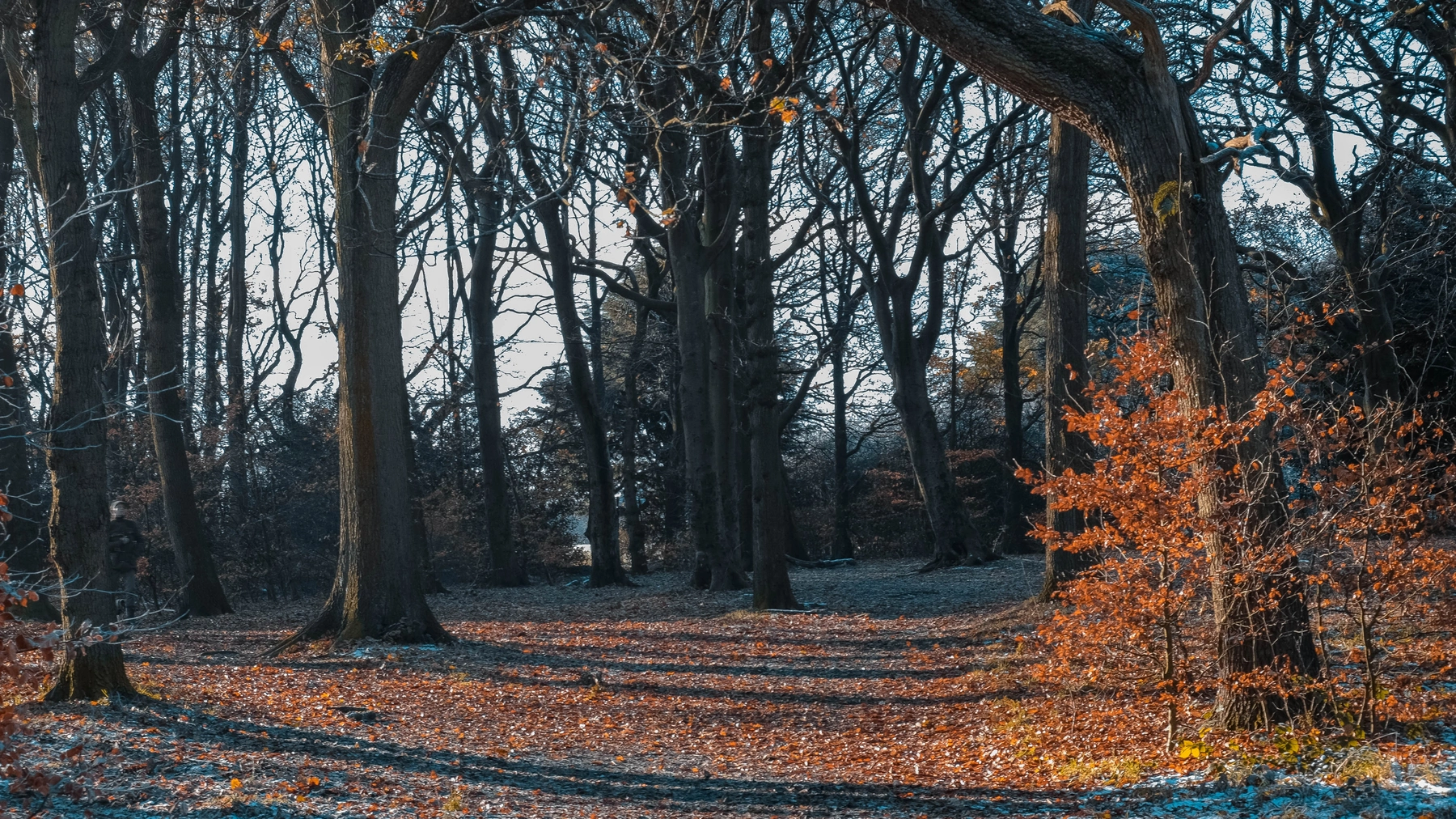 Woodhall Lake photography