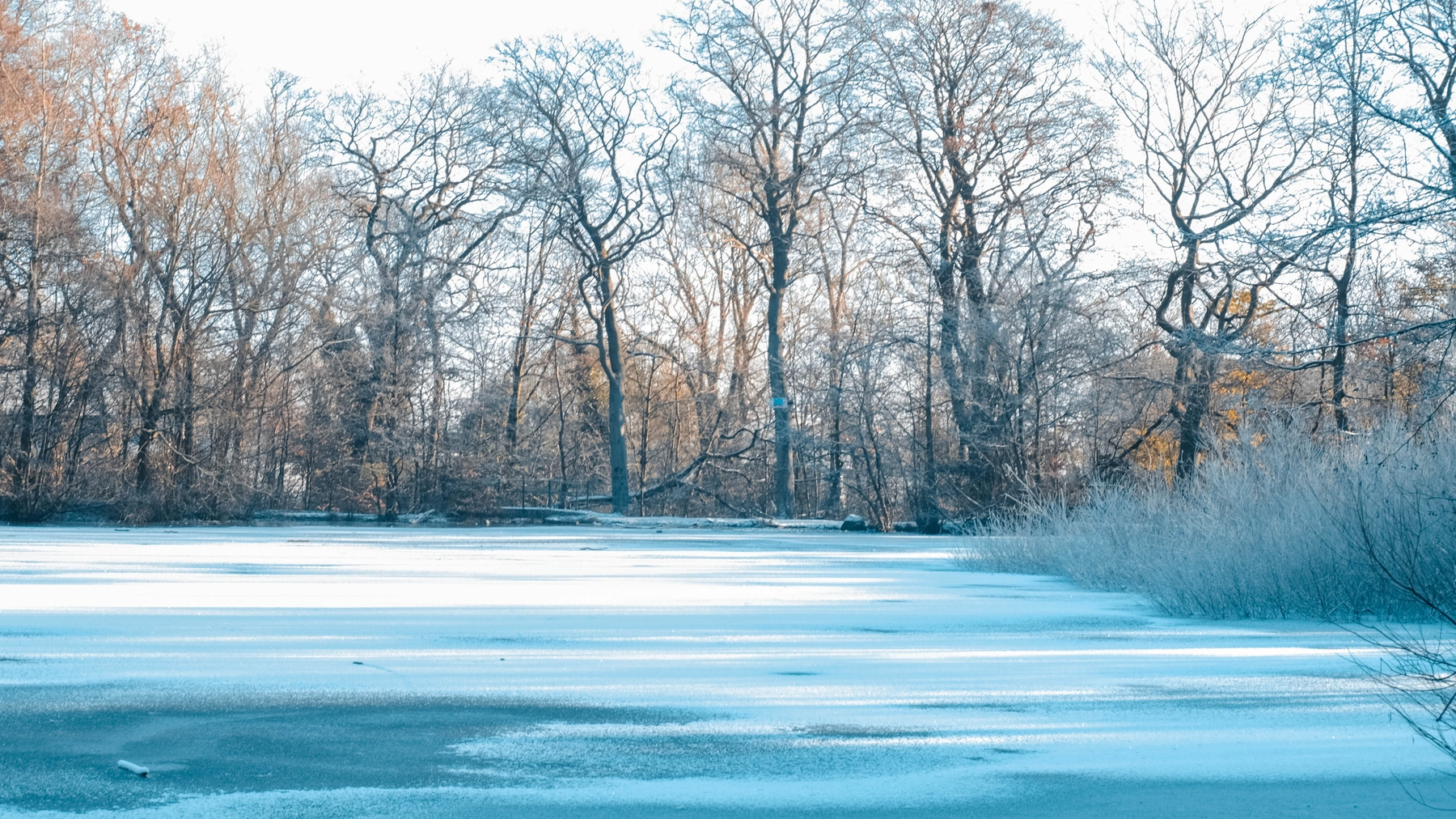 Woodhall Lake photography