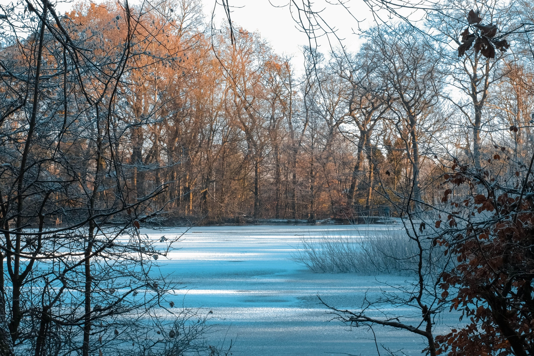 Woodhall Lake photography