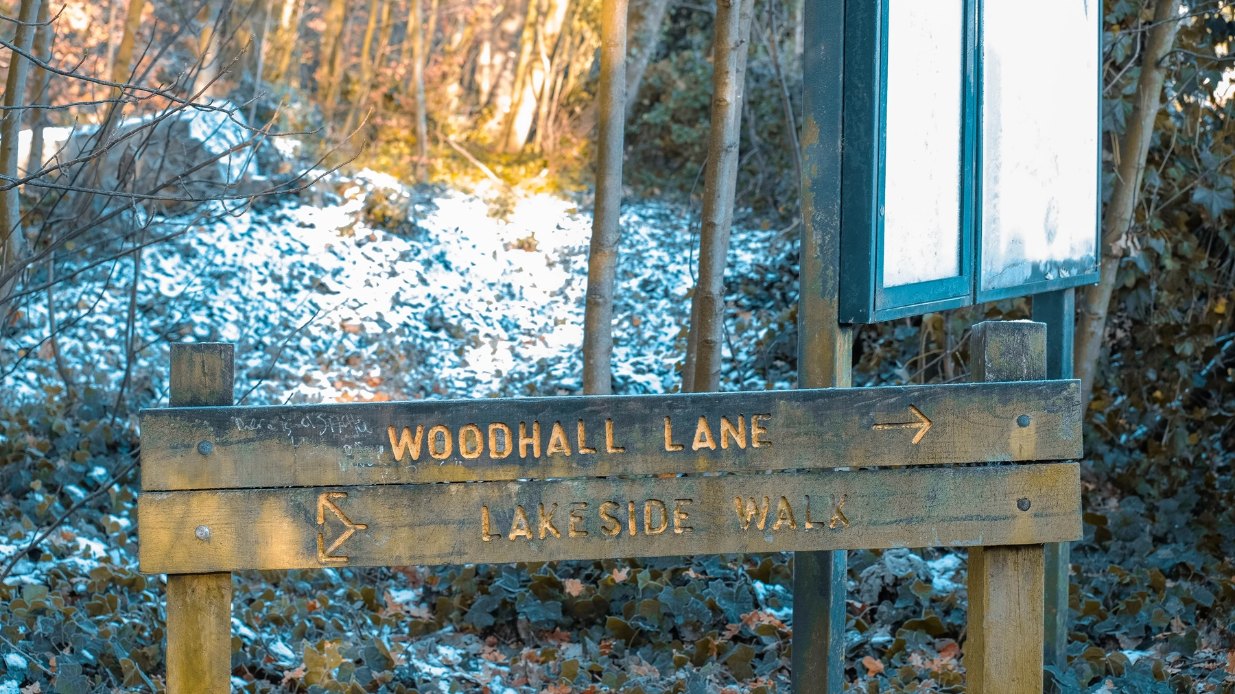 Woodhall Lake photography
