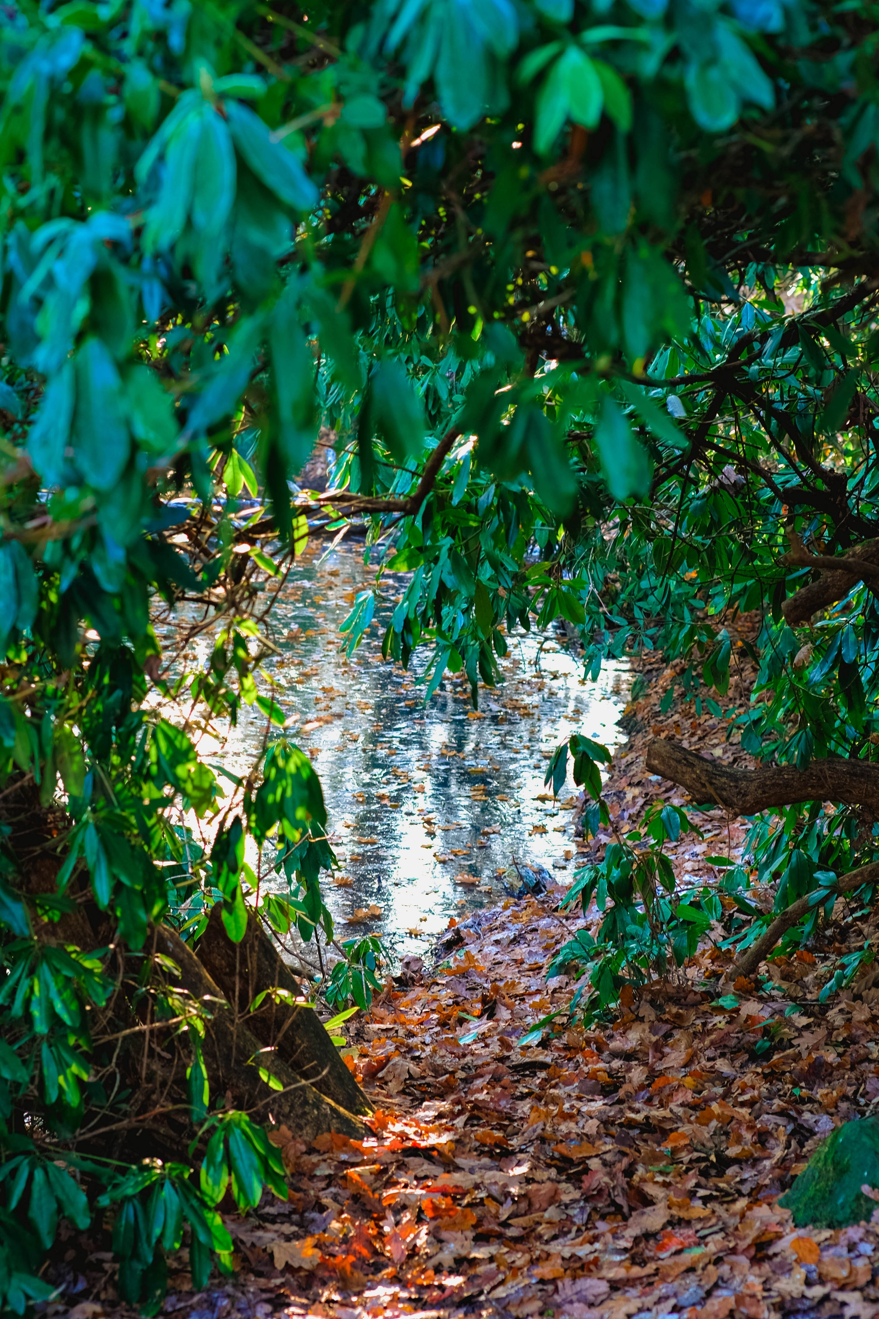 Woodhall Lake photography