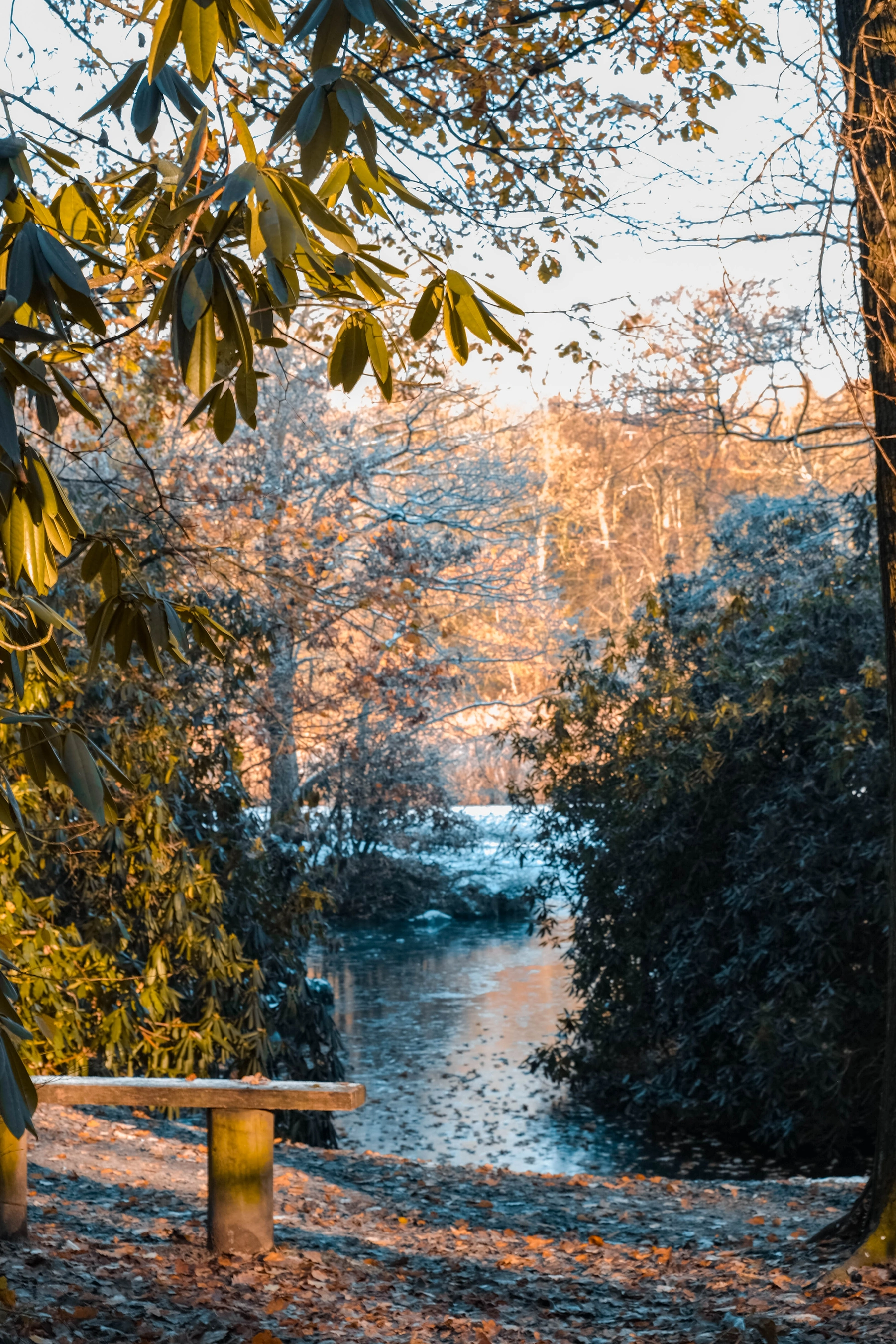 Woodhall Lake photography