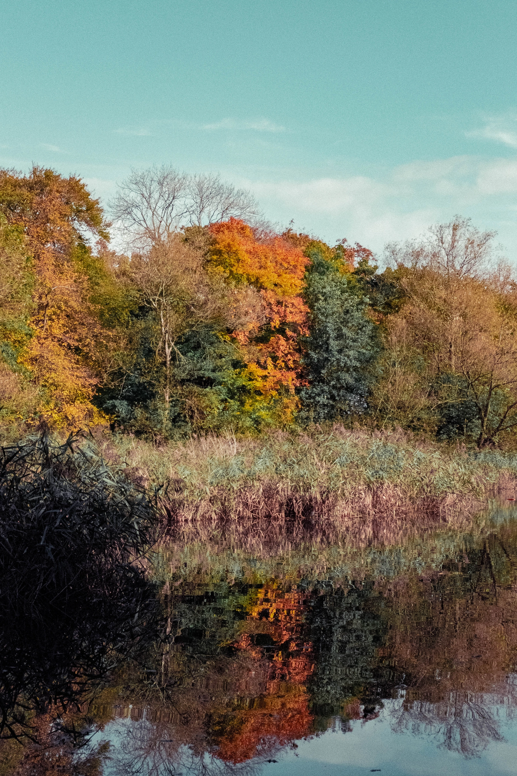 Woodhall Lake photography